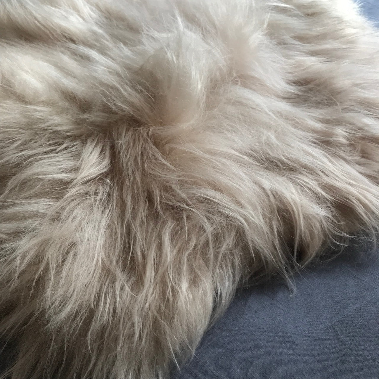 Honey Gold Icelandic Longhair Sheepskin Rug Throw Hide | Large