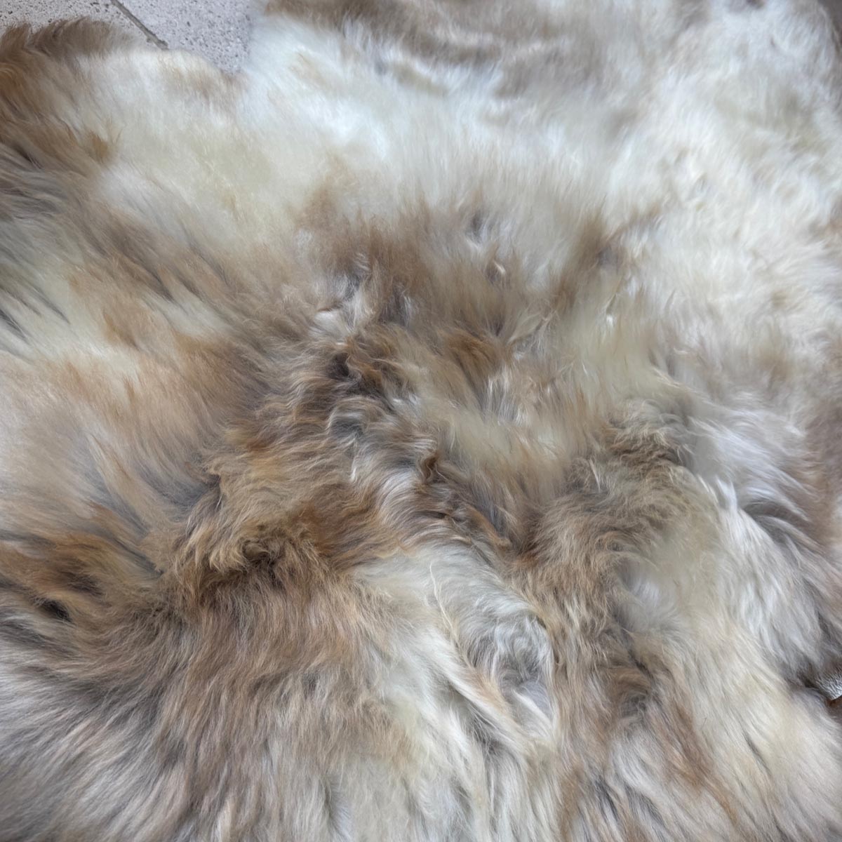 Large Rare Breed British Sheepskin Rug – Fawn & Vanilla | Natural, Undyed | Soft & Sustainable
