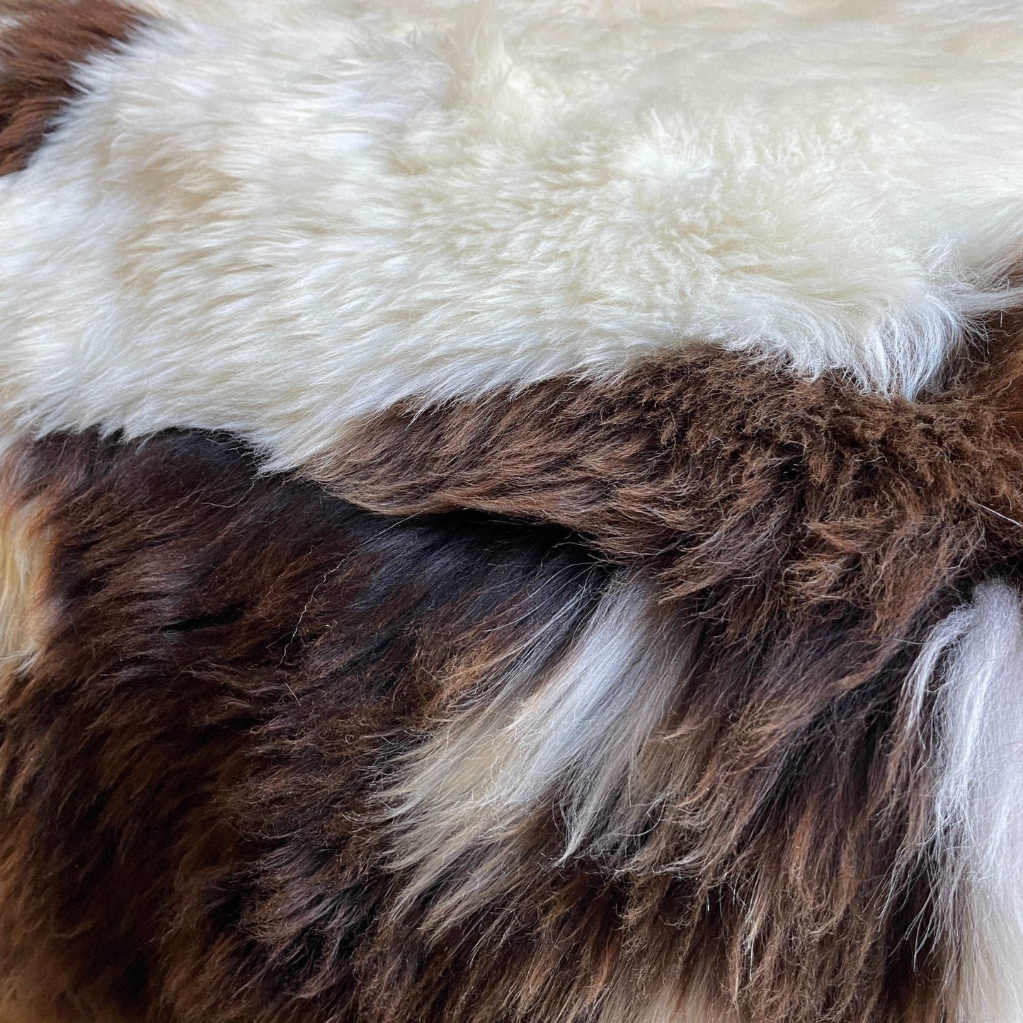 All Squared Up Sheepskin Floor Cushion - British Rare Breed Spotted - Wildash London