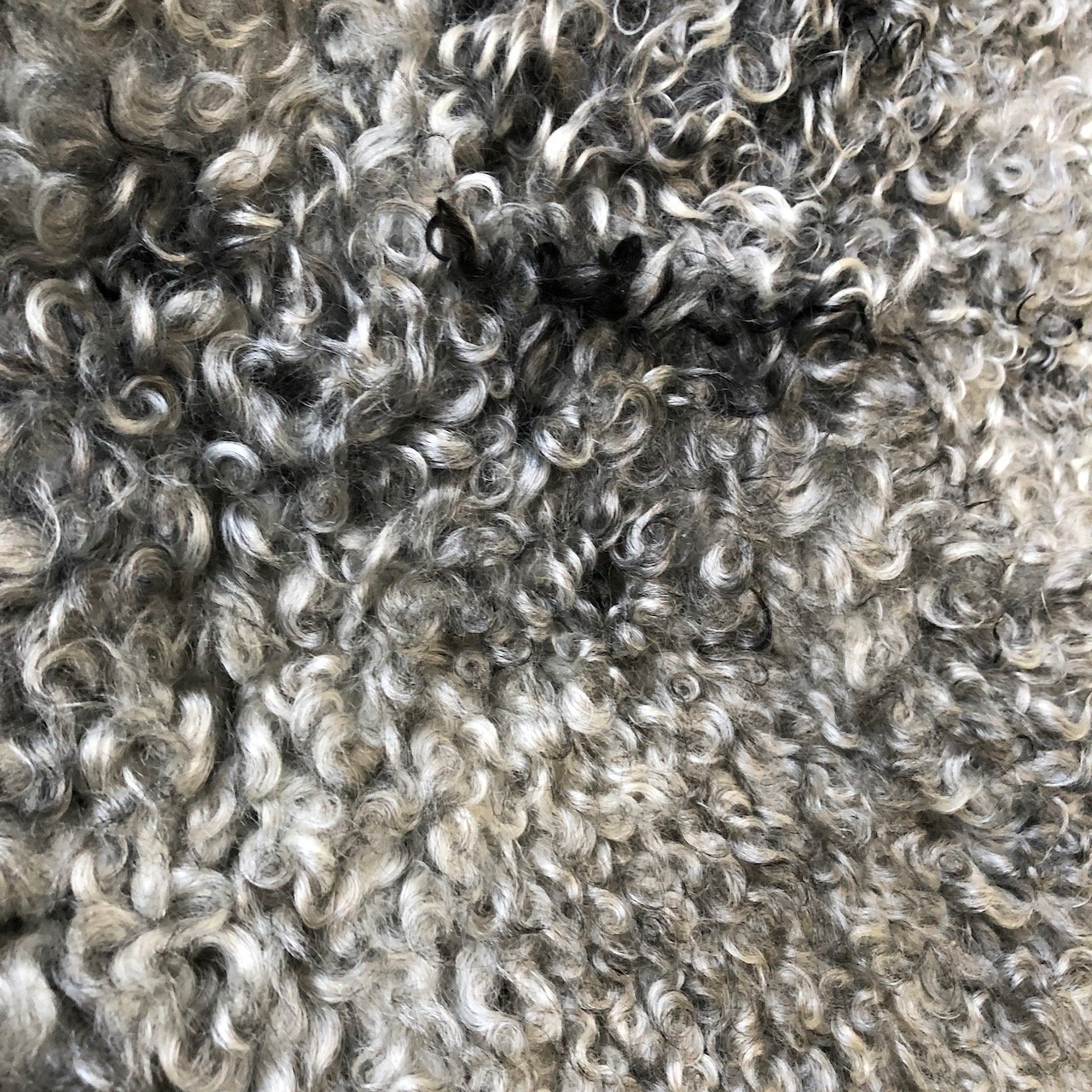 Gotland Rare Breed Sheepskin Natural Greys 0605GOTL06 - Wildash London