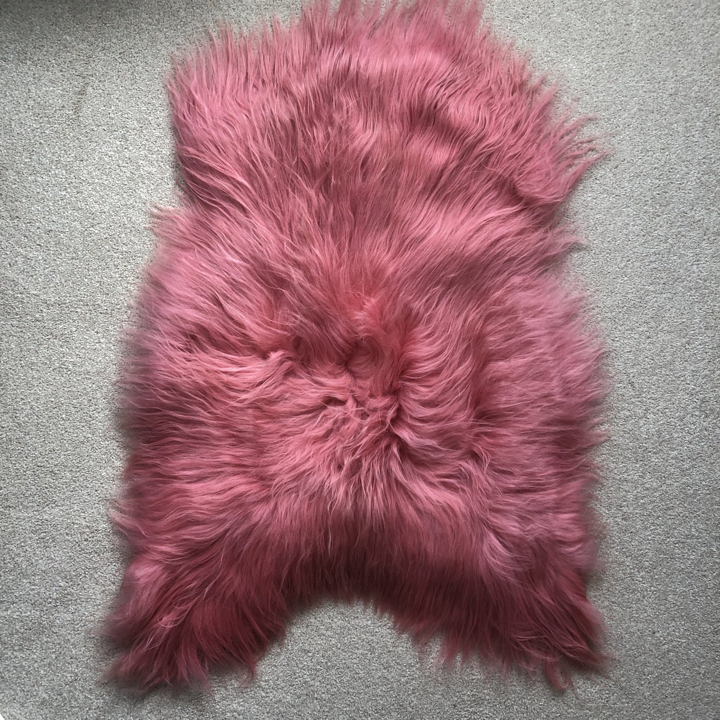 Icelandic Coral Pink Sheepskin Rug 100% Natural Sheep Skin Throw 90-100cm M - Wildash London