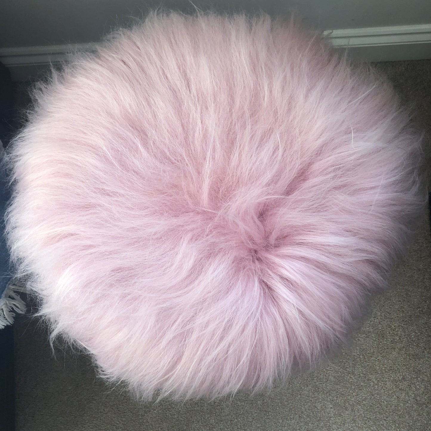 Icelandic Sheepskin Roundie Seat Cover Powder Pink Long 35cm - Wildash London