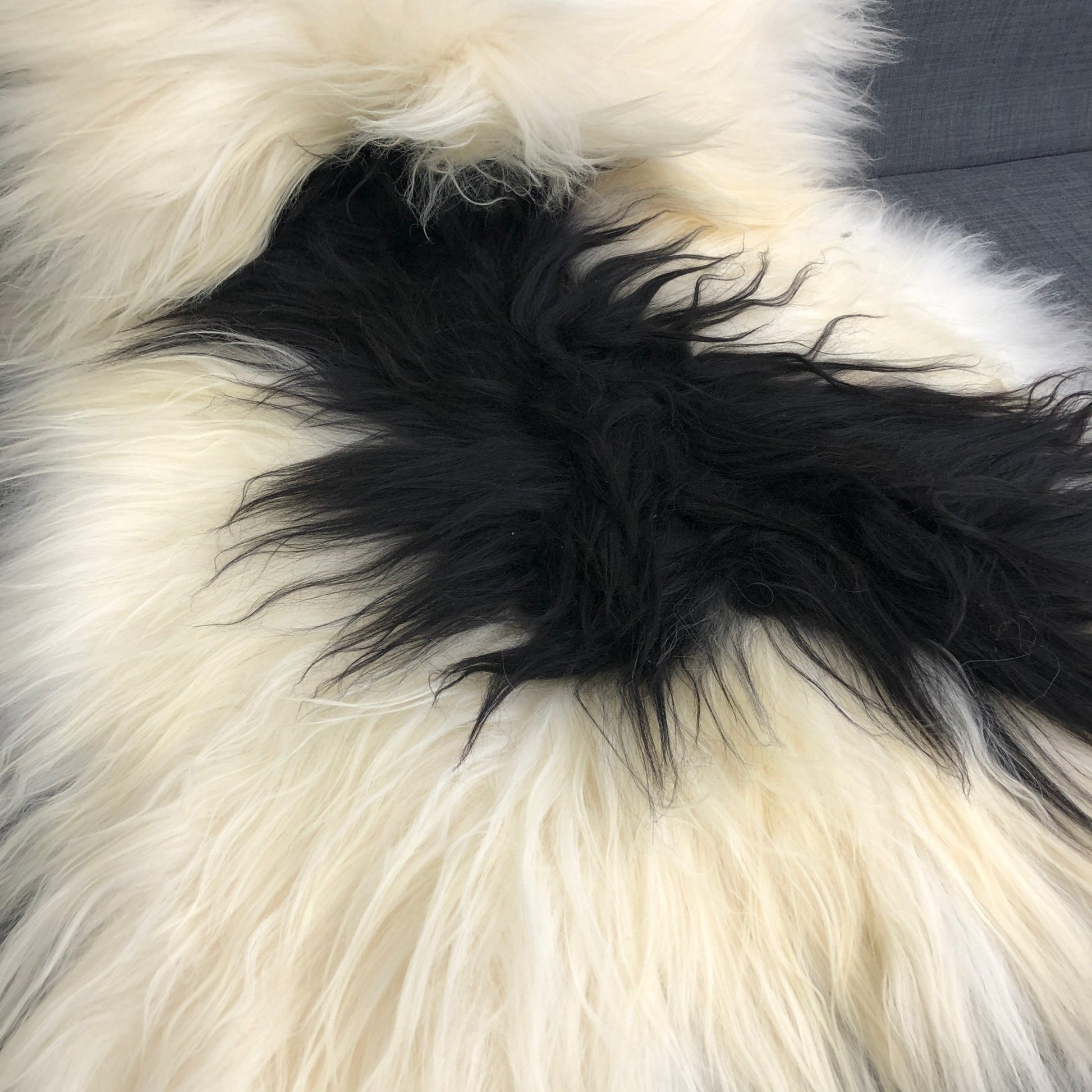 Yin & Yang Icelandic Sheepskin Throw White with Black Spots Rug Eco Fleece 100% Natural Undyed Hygge 0216ILL02 - Wildash London