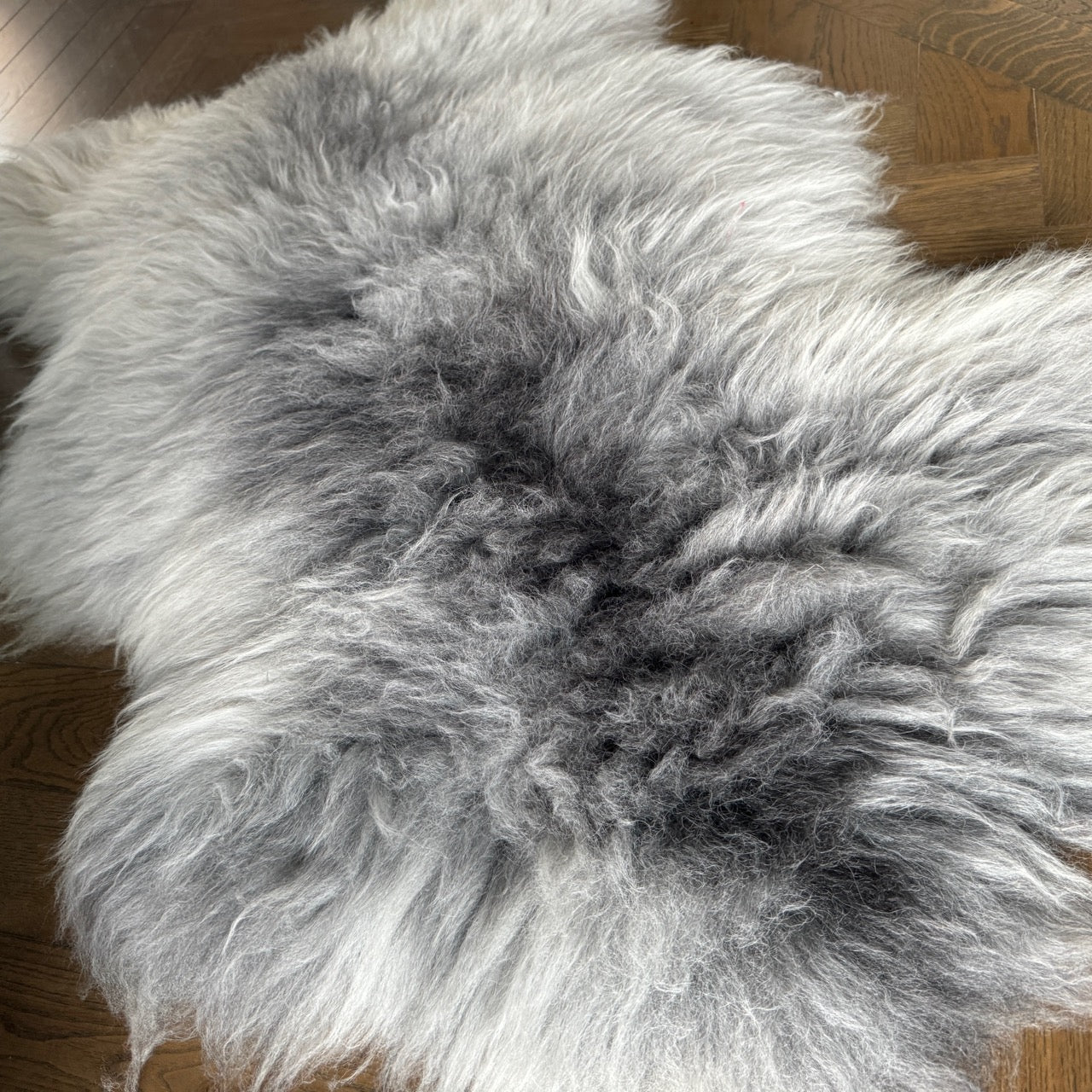 British Rare Breed Sheepskin Hide Unique Large 24100104RB