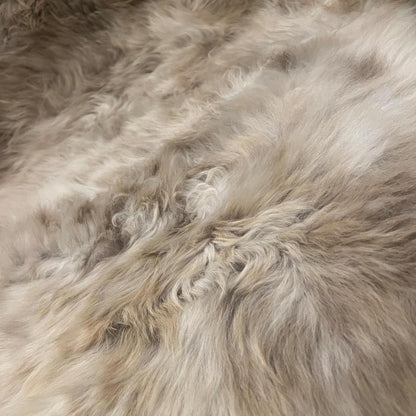 British Rare Breed Sheepskin Hide Unique Large 23120304