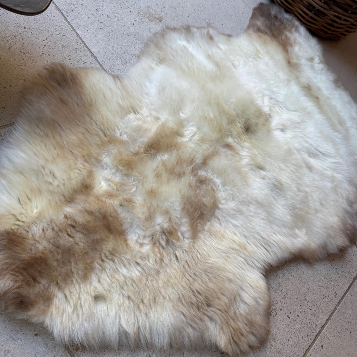 Large Rare Breed British Sheepskin – Honey Cream Drift
