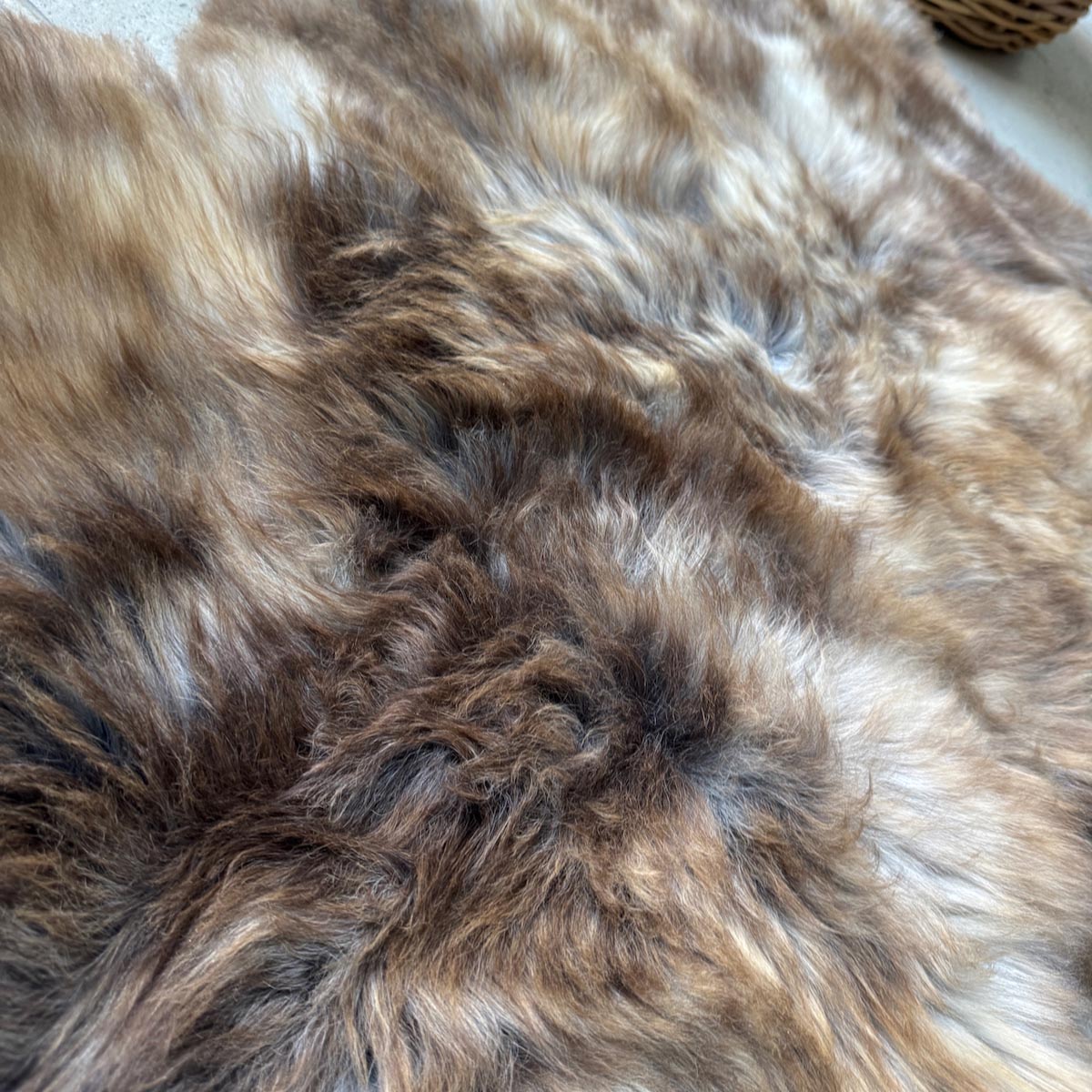 Britisches seltenes Schaffellfell, einzigartig, groß, 0602BRL02