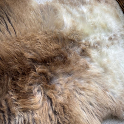 Large Rare Breed British Sheepskin – Wild Caramel Freckle
