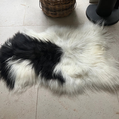 Race rare islandaise YinYang peau de mouton noir et blanc cacher unique grand 240102IL01