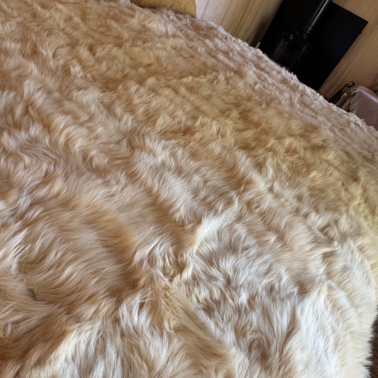 Buttercream Toscana Shearling Throw | Sheepskin Blanket | Rug | 170cm x 240cm