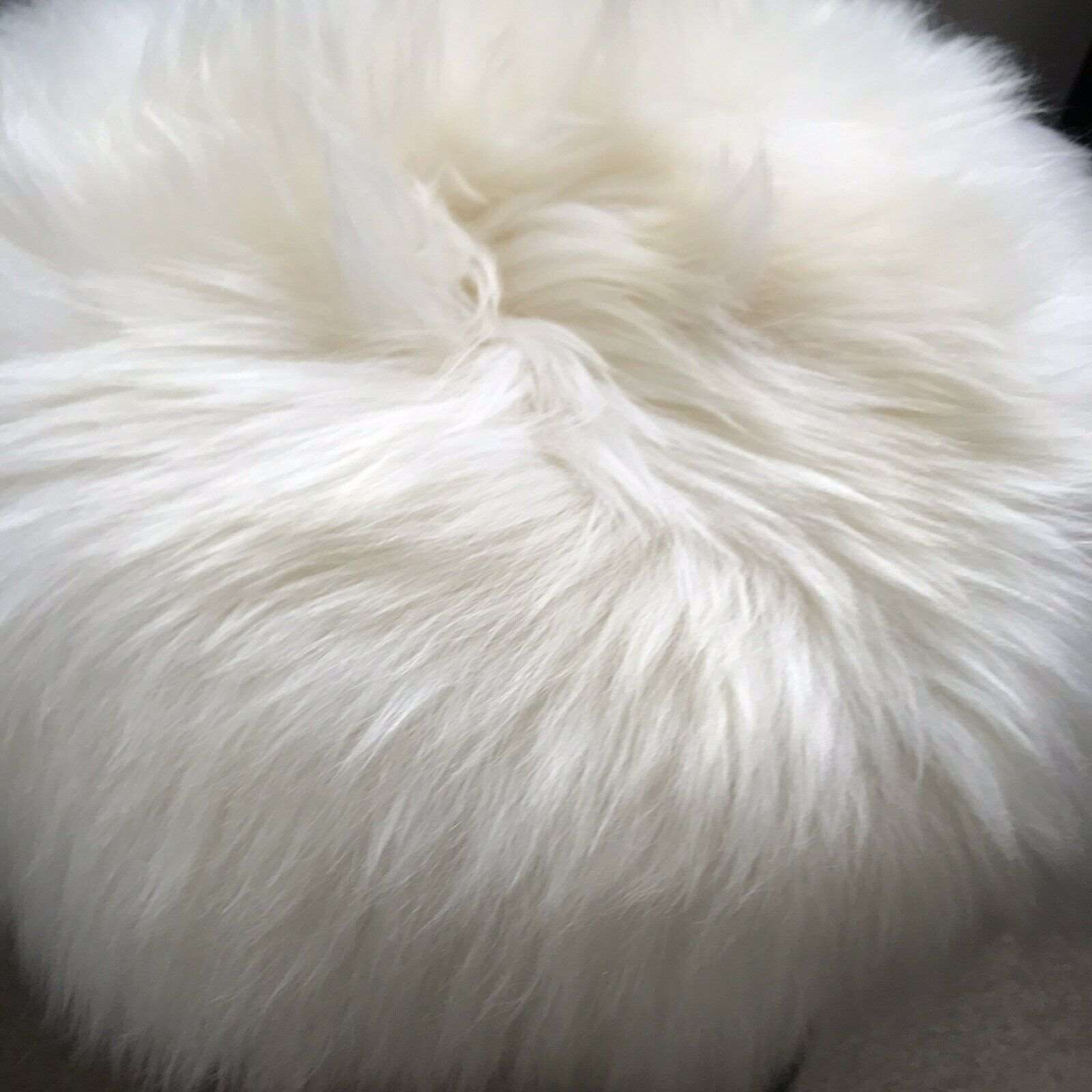 Round hotsell sheepskin cushion