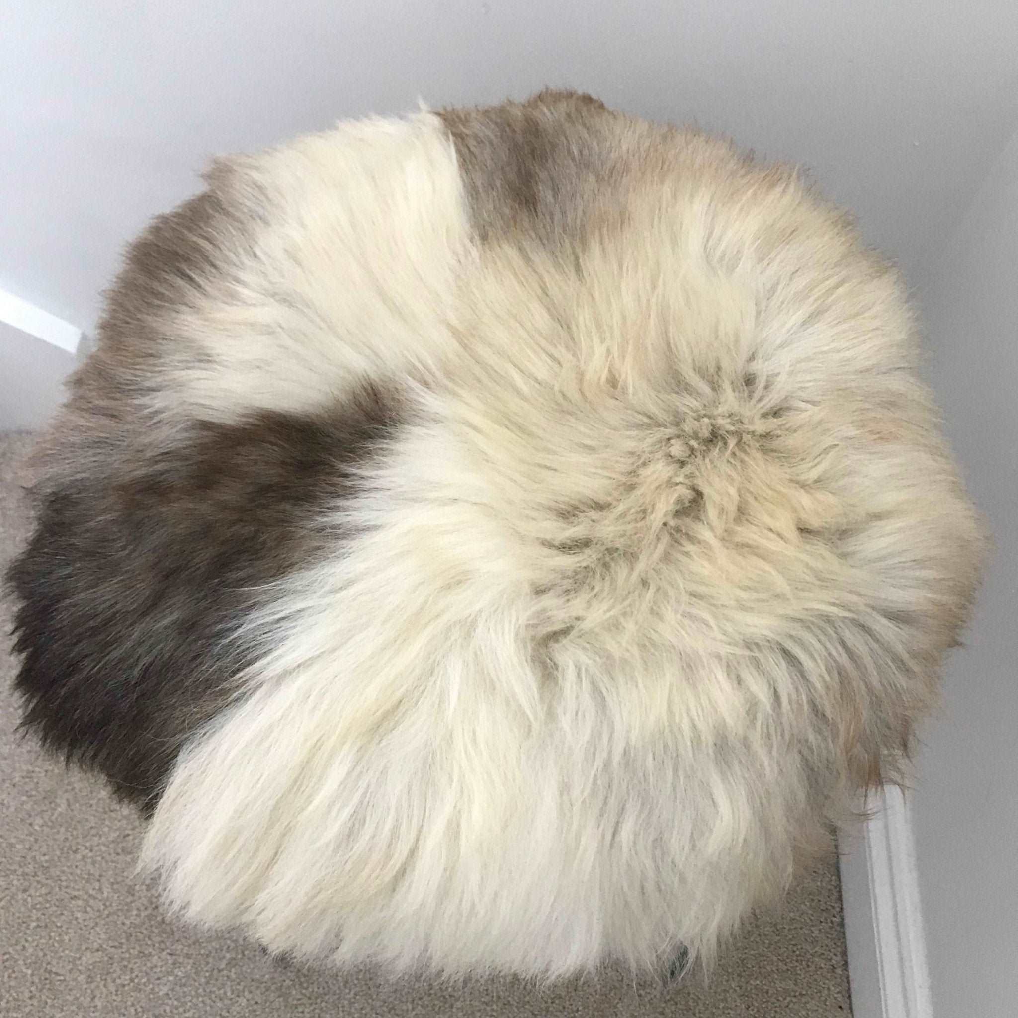 100% Genuine Real Sheepskin Seat Pad British Roundie 35cm Cream / Light Browns - Wildash London