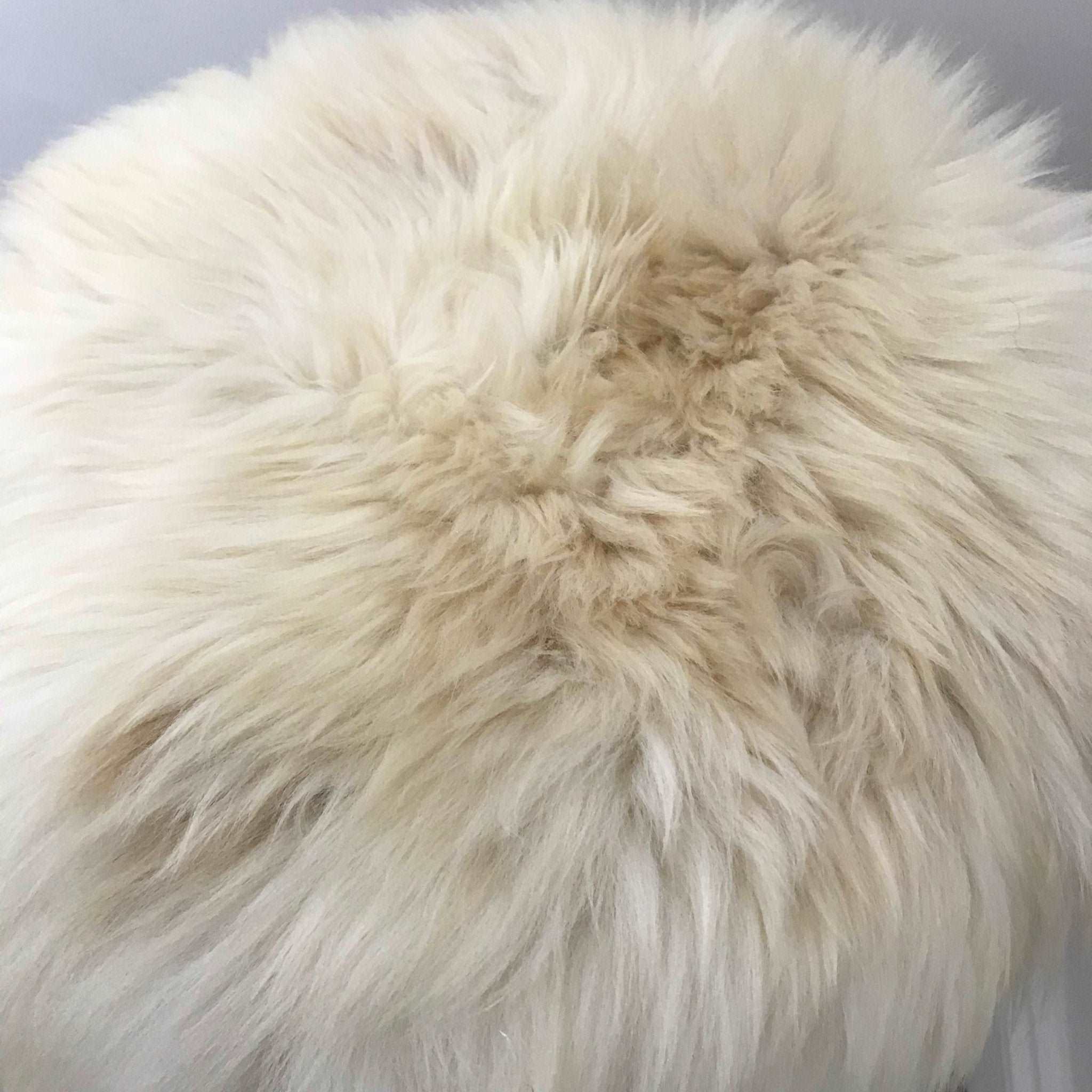 100% Genuine Real Sheepskin Seat Pad British Roundie 35cm Cream / Light Browns - Wildash London