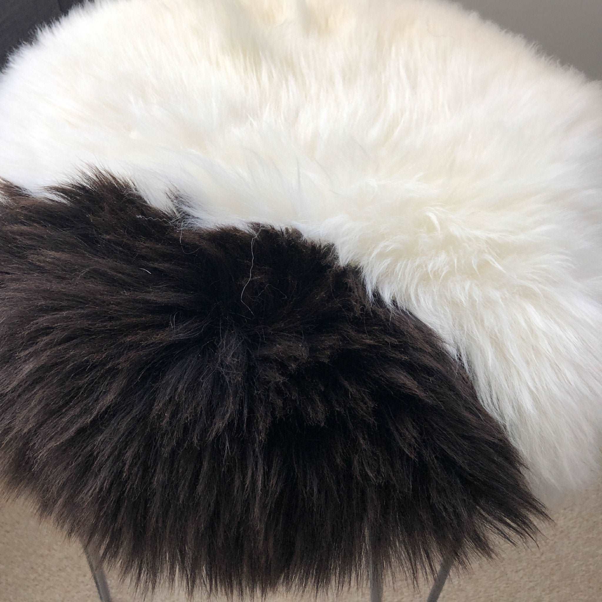 100% Genuine Real Sheepskin Seat Pad British Roundie 35cm White / Dark Browns - Wildash London