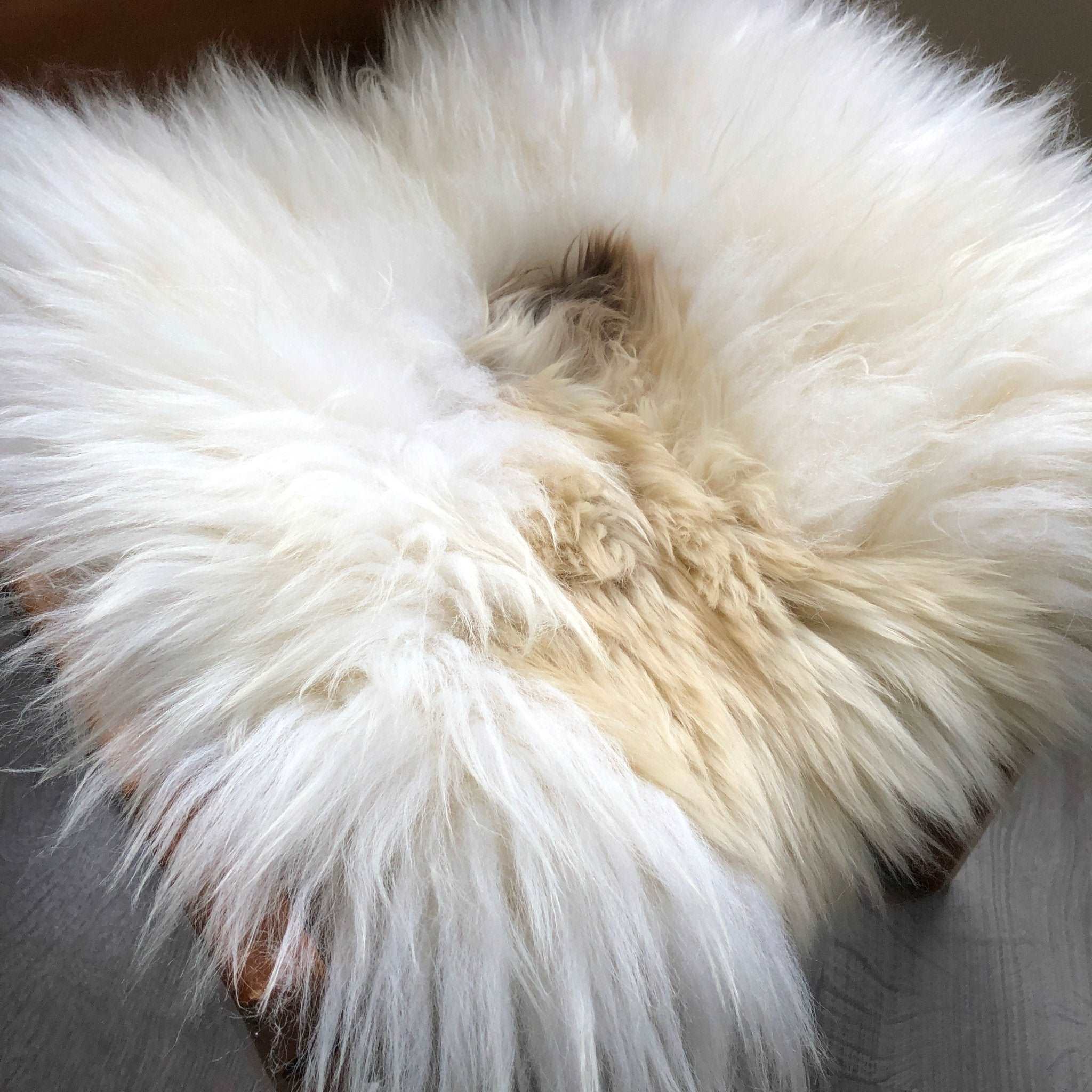 100% Genuine Real Sheepskin Seat Pad British Square 37cm Lights Cream / Browns - Wildash London