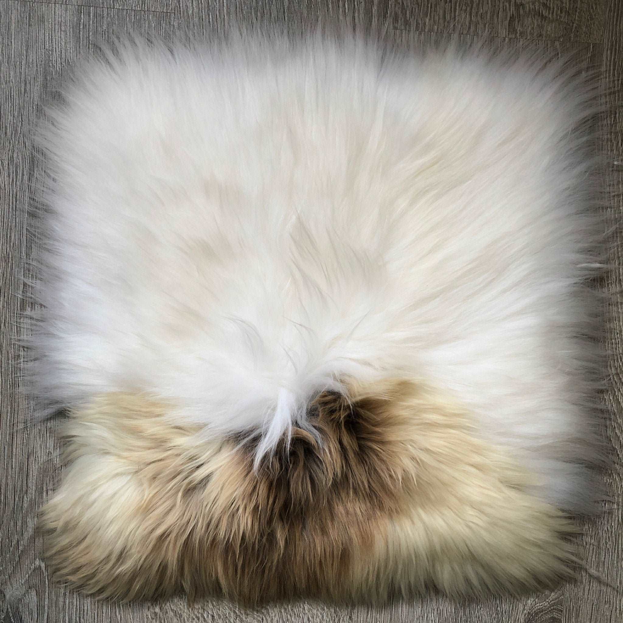 100% Genuine Real Sheepskin Seat Pad British Square 37cm Lights Cream / Browns - Wildash London