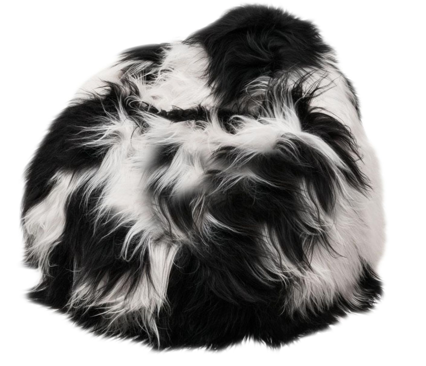 100% Icelandic Longhair Sheepskin Beanbag Chair Spotted Black with White - Wildash London