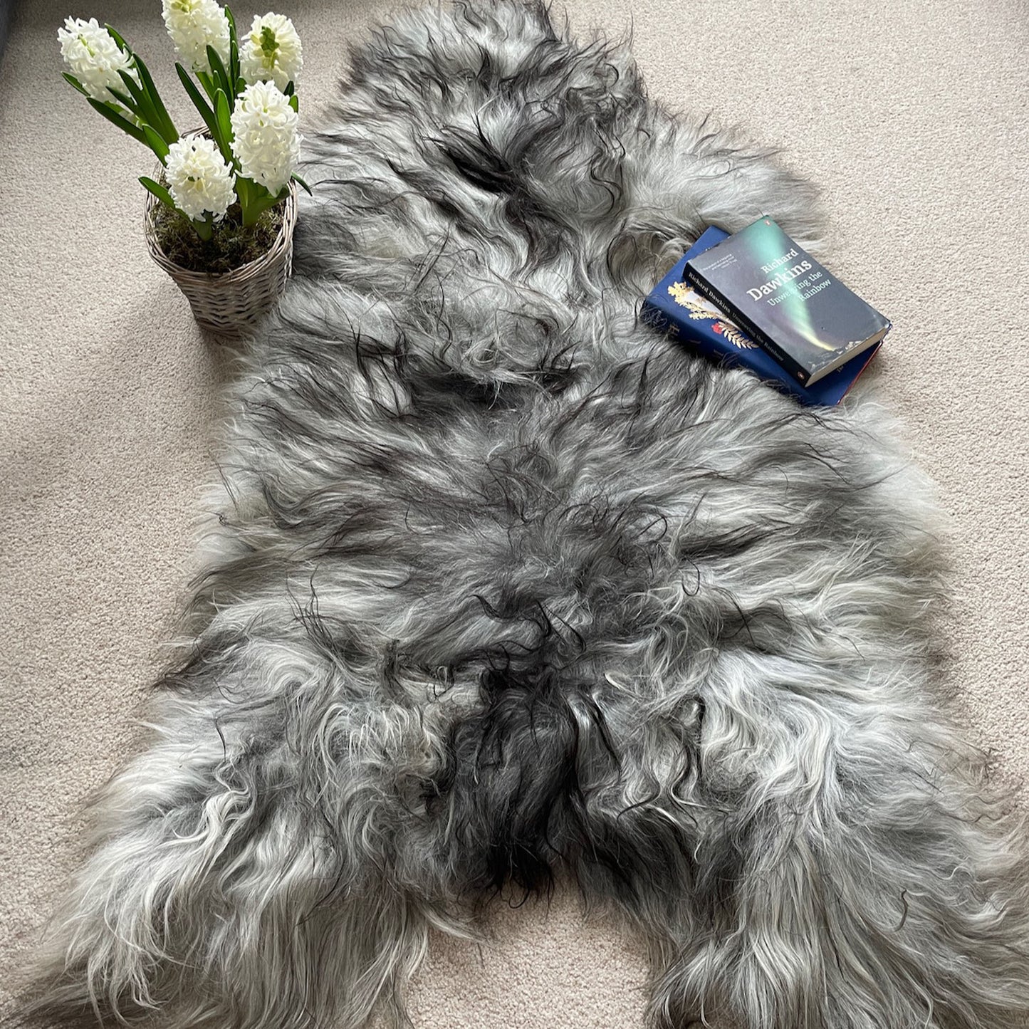 XL Icelandic Natural Grey Undyed Sheepskin Unique Sheep Skin Ecofriendly Sustainably Tanned 0206ILGRXL02