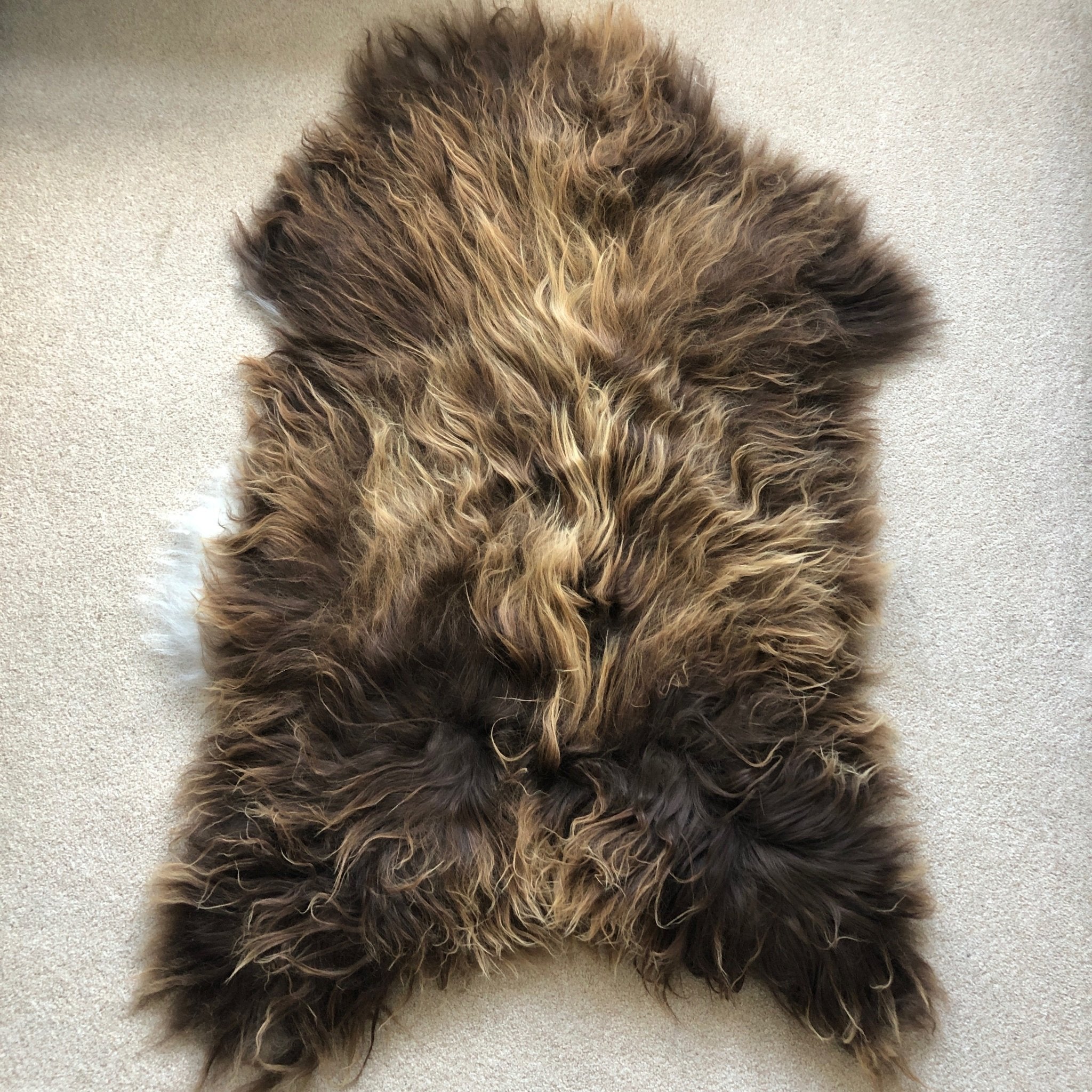 AMAZING Icelandic Bronze Russet Brown Sheepskin Rug Undyed Sheepskin Throw - Wildash London