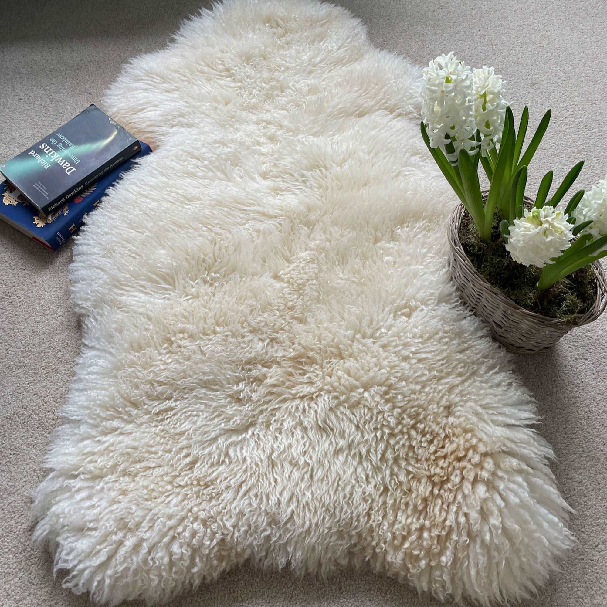 British Curly Sheepskin Ivory Cream White 100% Natural Sheep Skin Rug - Wildash London