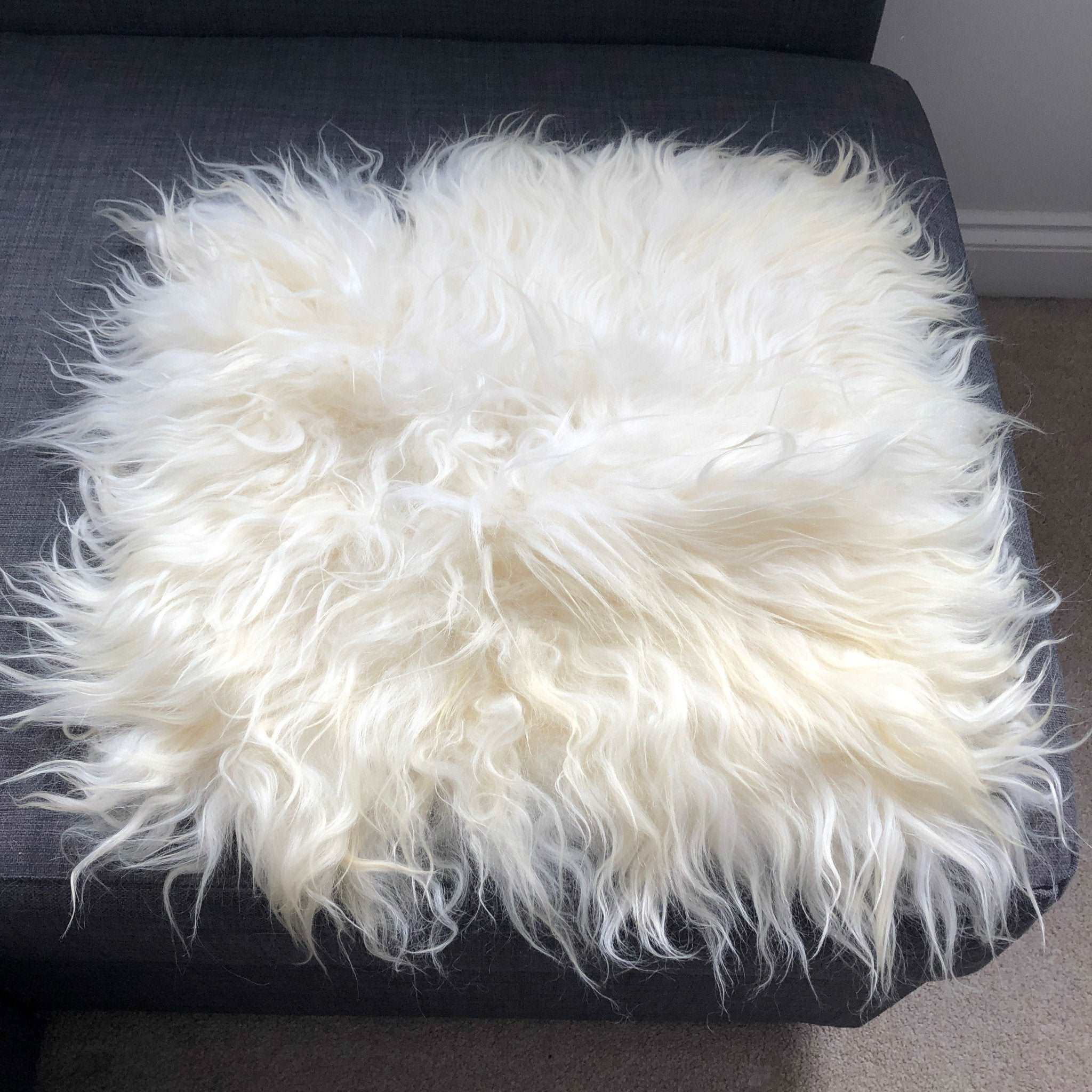 British Curly Sheepskin Seat Cover Ivory Cream White ::: Square 37cm - Wildash London