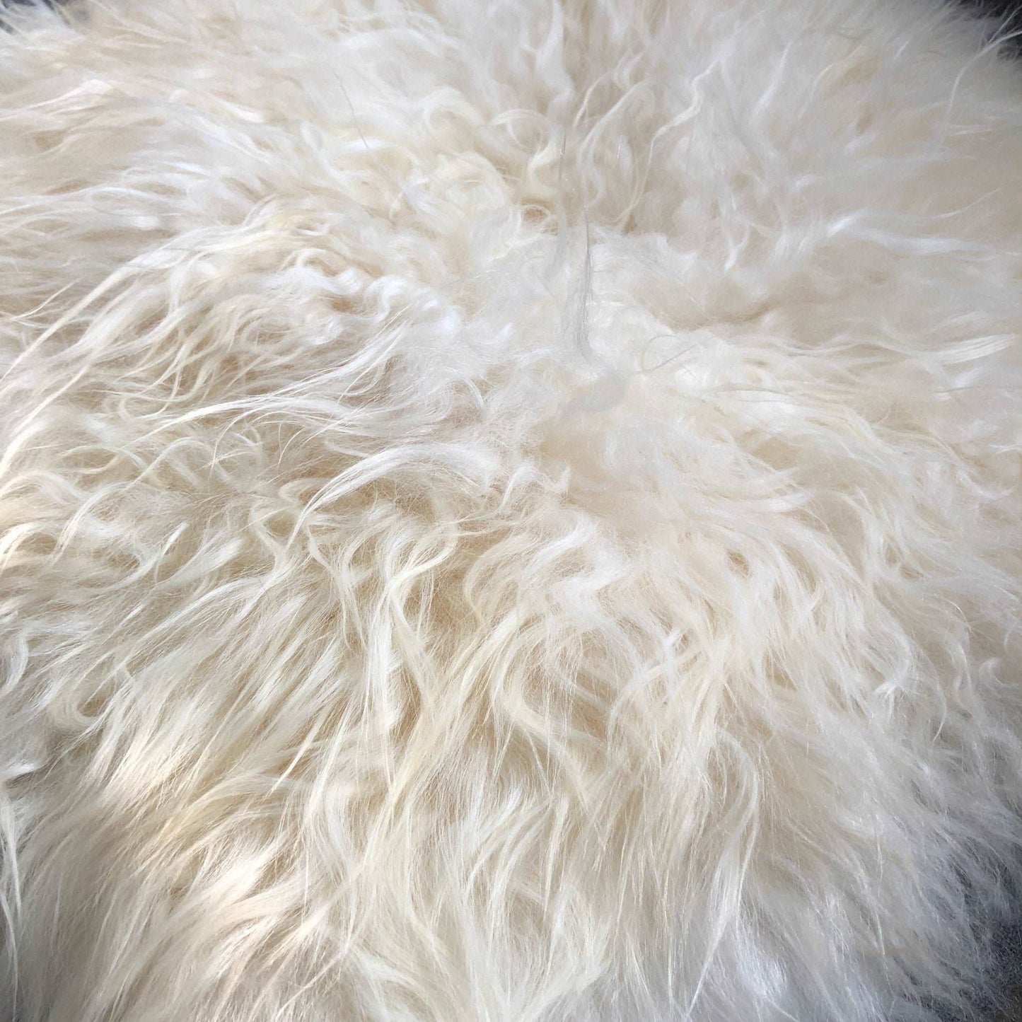 British Curly Sheepskin Seat Cover Ivory Cream White ::: Square 37cm - Wildash London