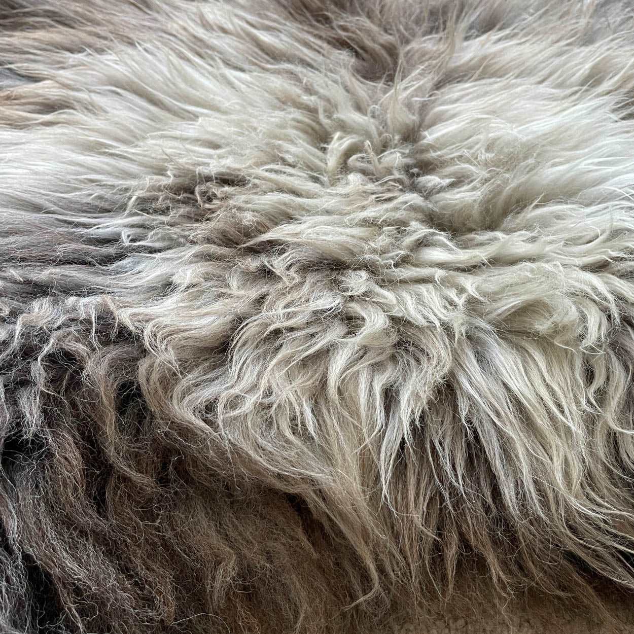 British Rare Breed Sheepskin Hide Unique Large 1407BRL02 - Wildash London