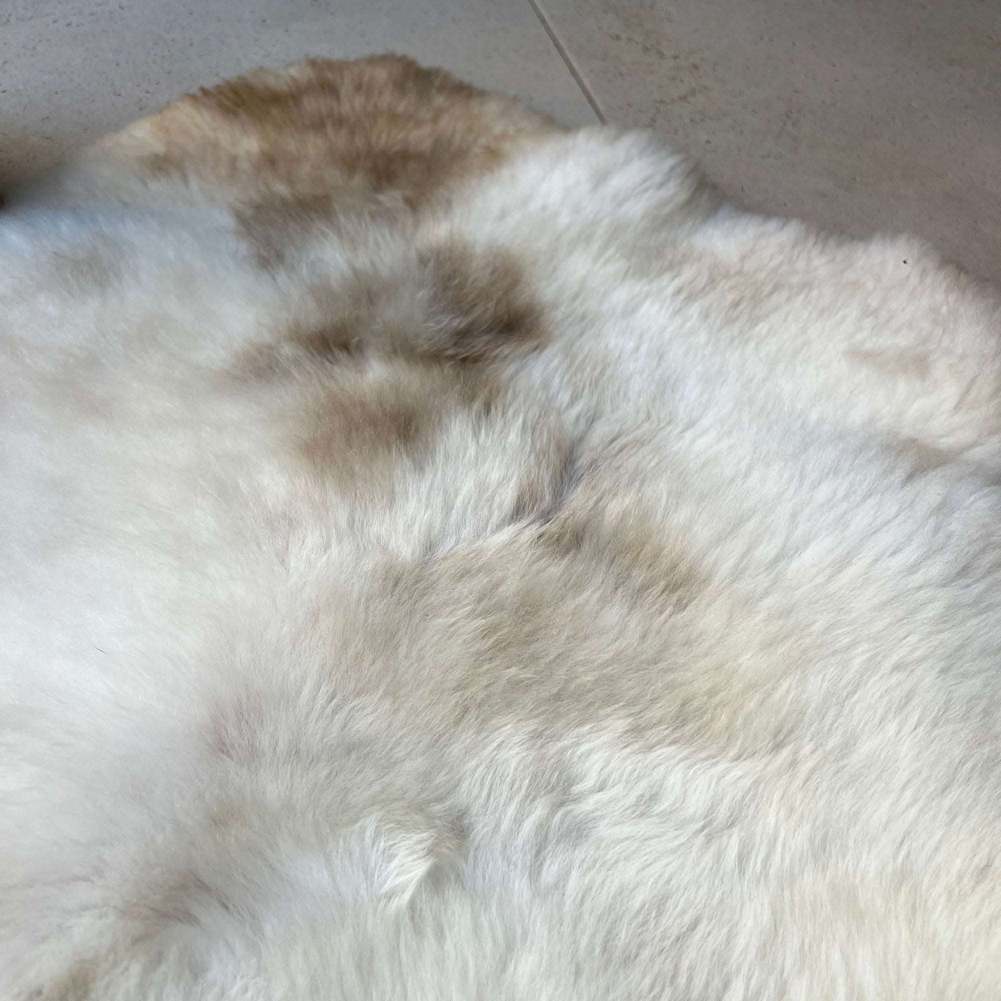British Rare Breed Sheepskin Hide Unique Large 230914RB01 - Wildash London