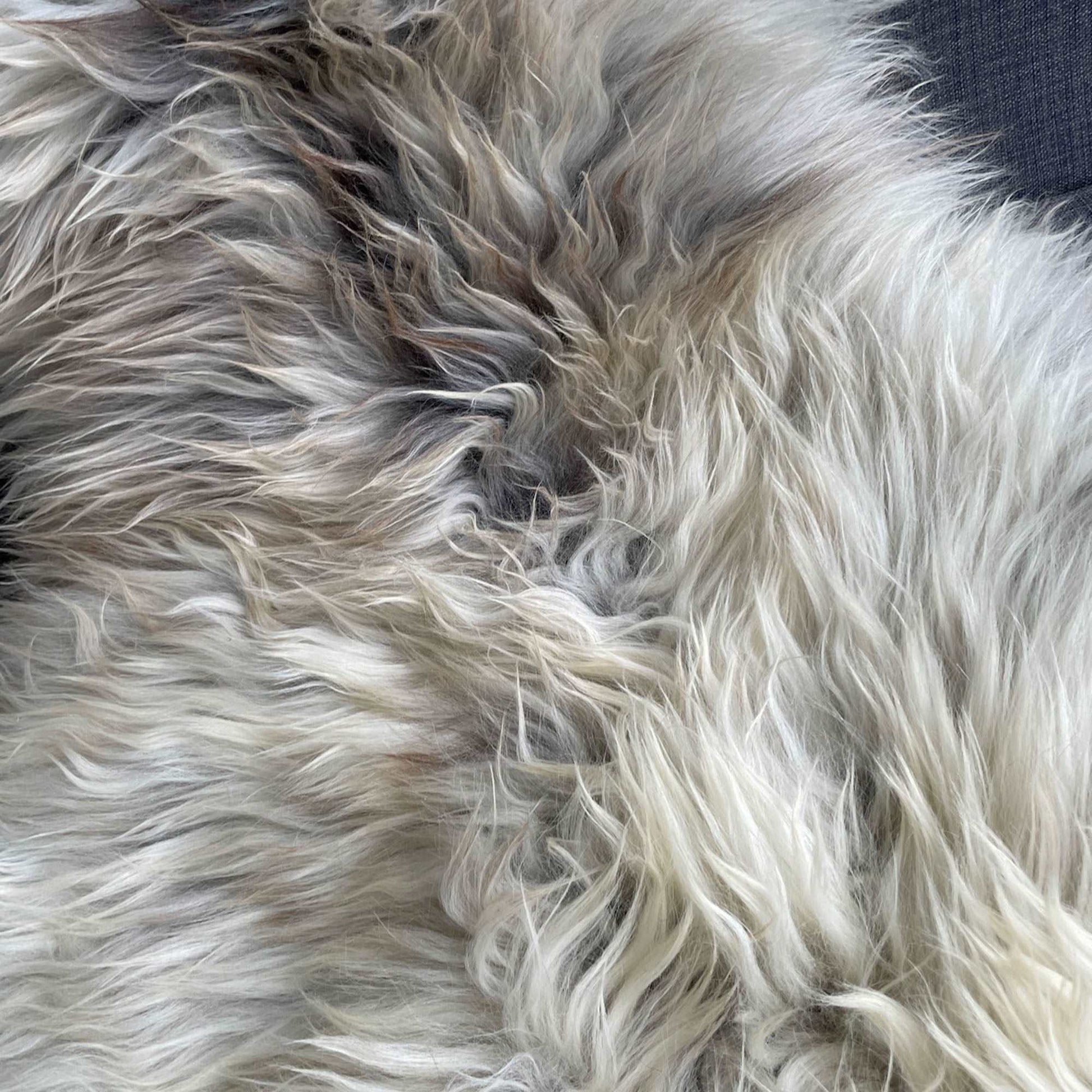 British Rare Breed Sheepskin Hide Unique Medium 0206BRM04 - Wildash London