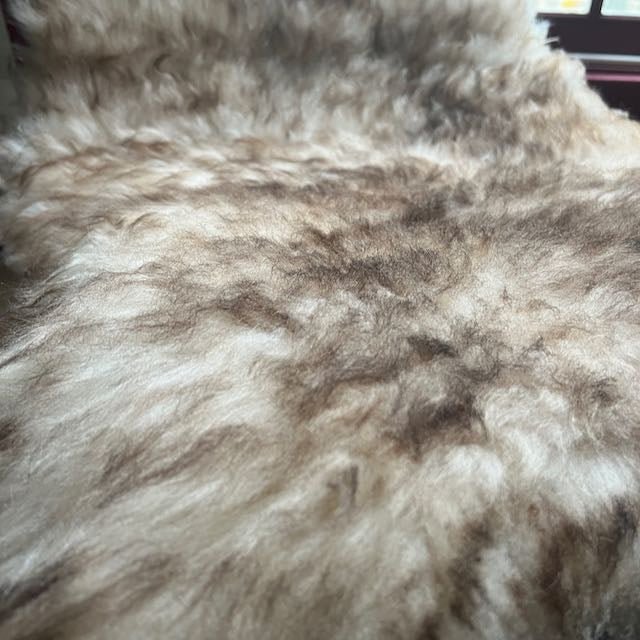 British Sheepskin Rug | Fleece | Latté | Cream & Brown Tipped Throw - Wildash London