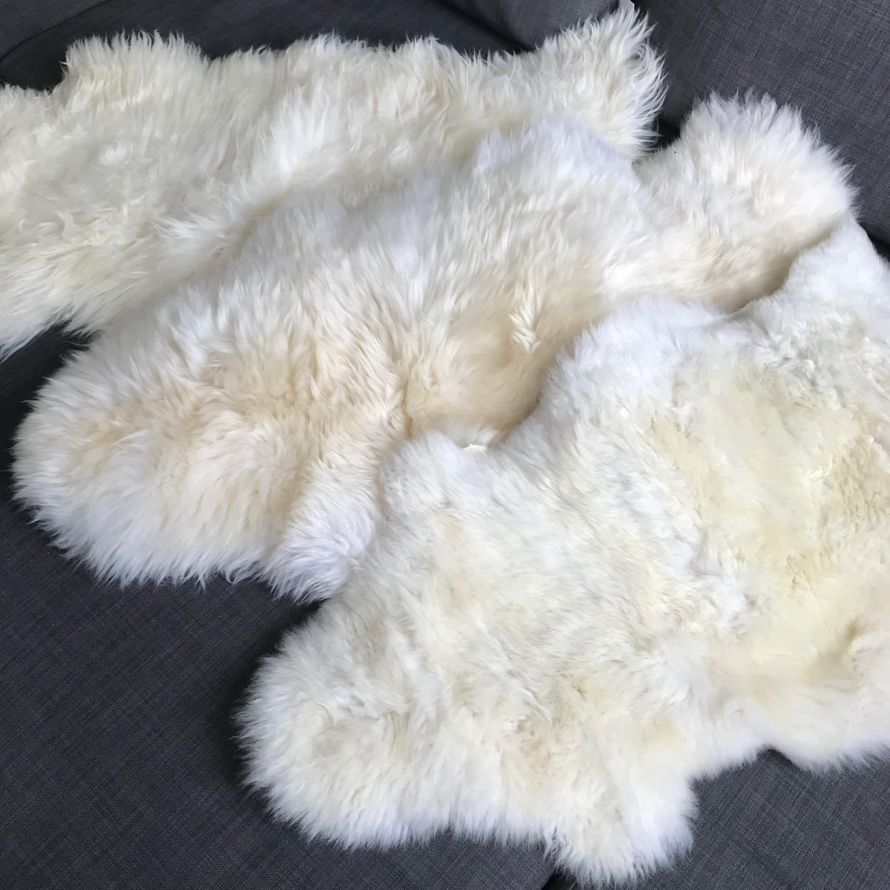 British Sheepskin Rug Hide Ivory White Fleece | Medium Throw - Wildash London