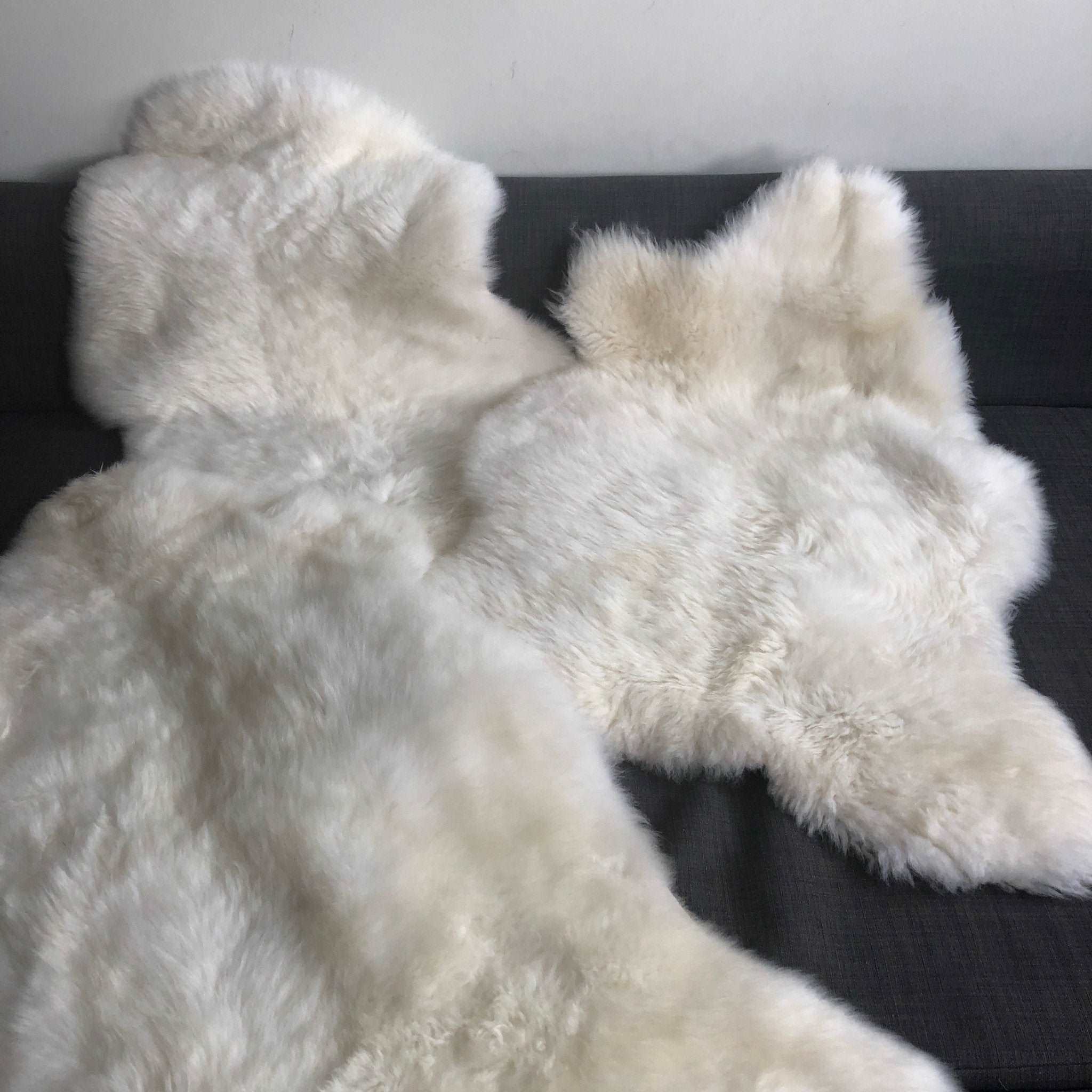 British Sheepskin Rug Hide Ivory White Small Short Fur - Wildash London