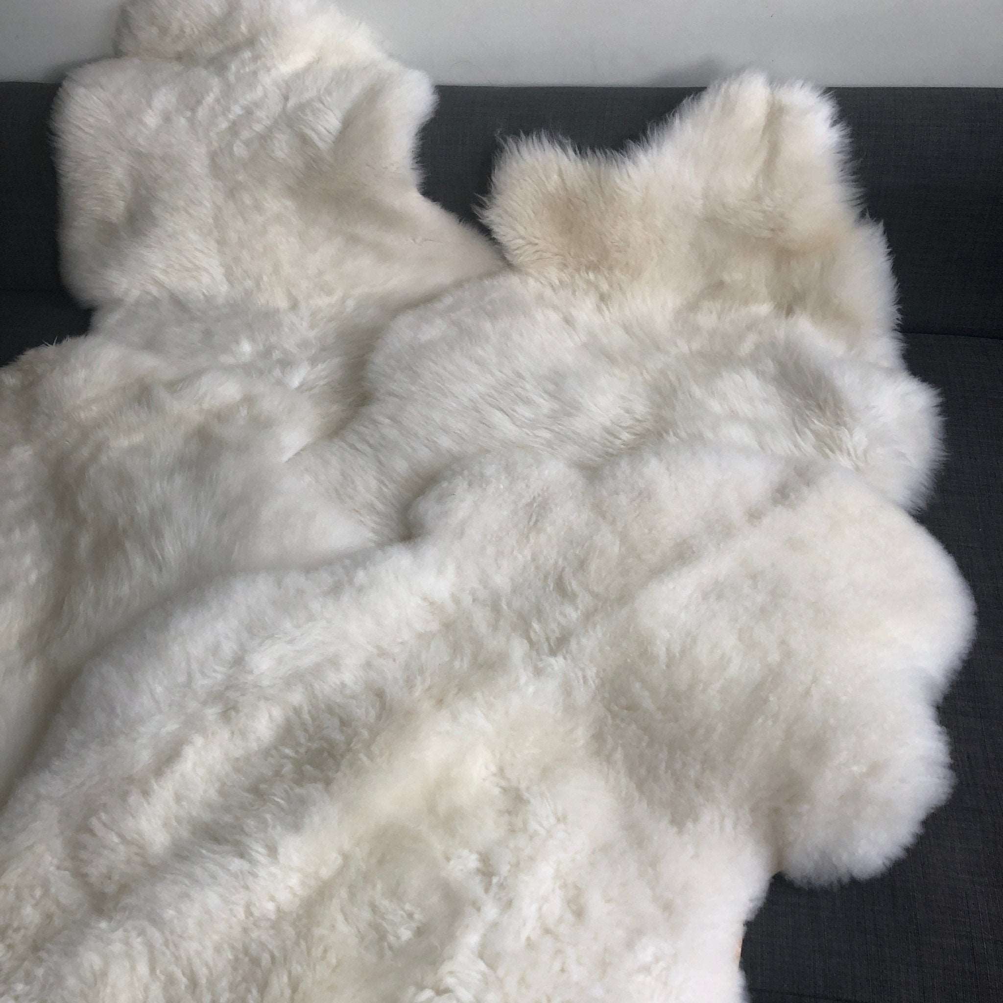 British Sheepskin Rug Hide Ivory White Small Short Fur - Wildash London