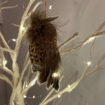 Brown Feather Owl Ornament - Wildash London