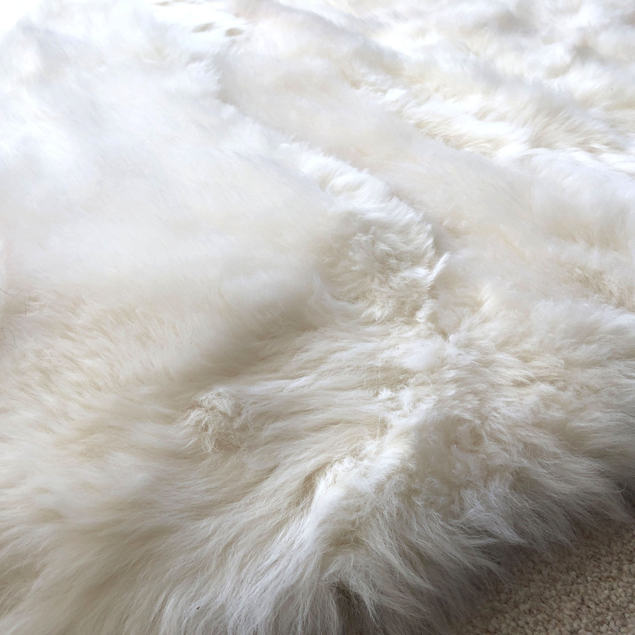 Fab Soft British Sheepskin Rug Ivory Cream White Straight Edges Rectangular 55cm x 85cm - Wildash London