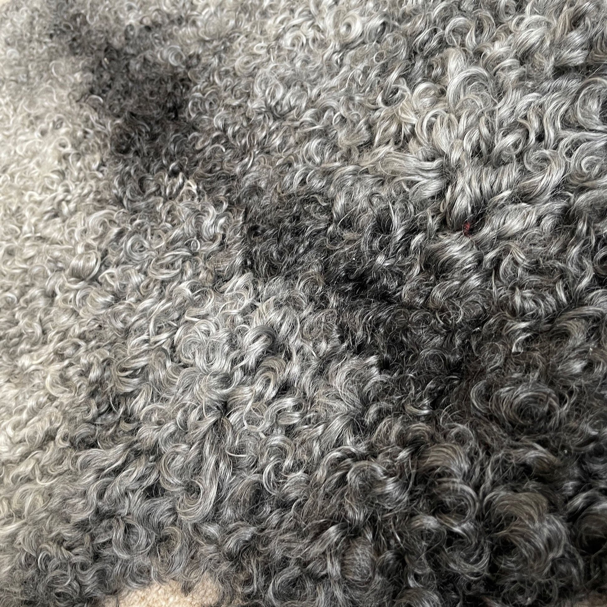 Gotland Rare Breed Sheepskin Natural Greys 0706GOTL12 - Wildash London