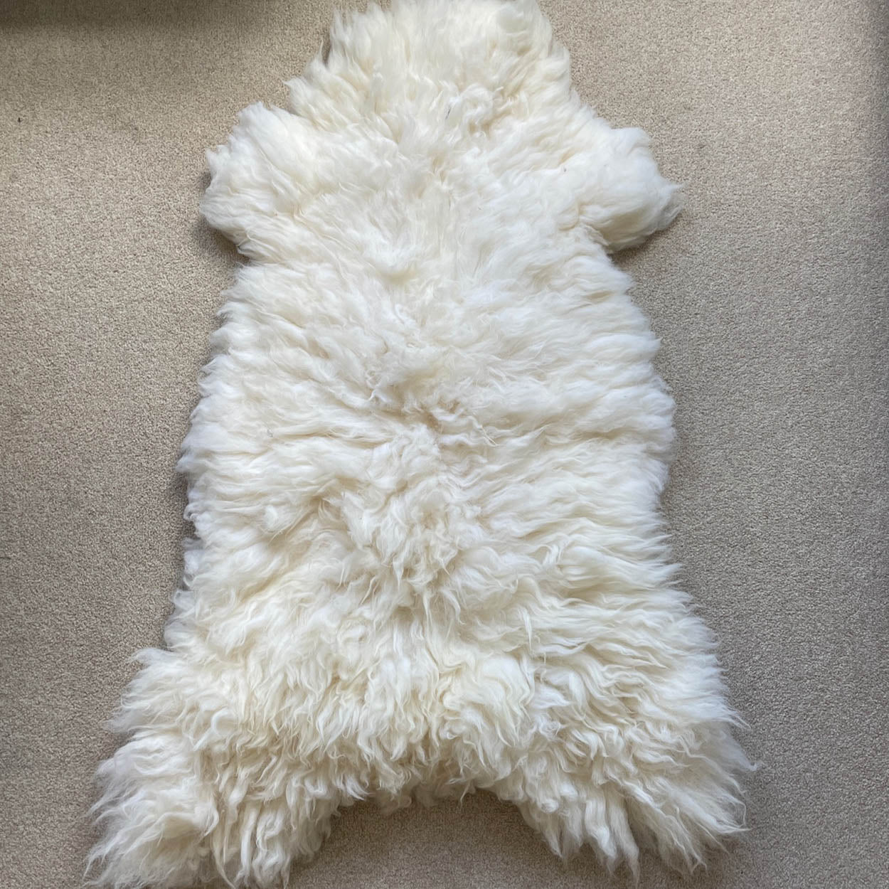 Grade B British Sheepkin Hide White Cream Ivory Sheepskin Rug - Wildash London