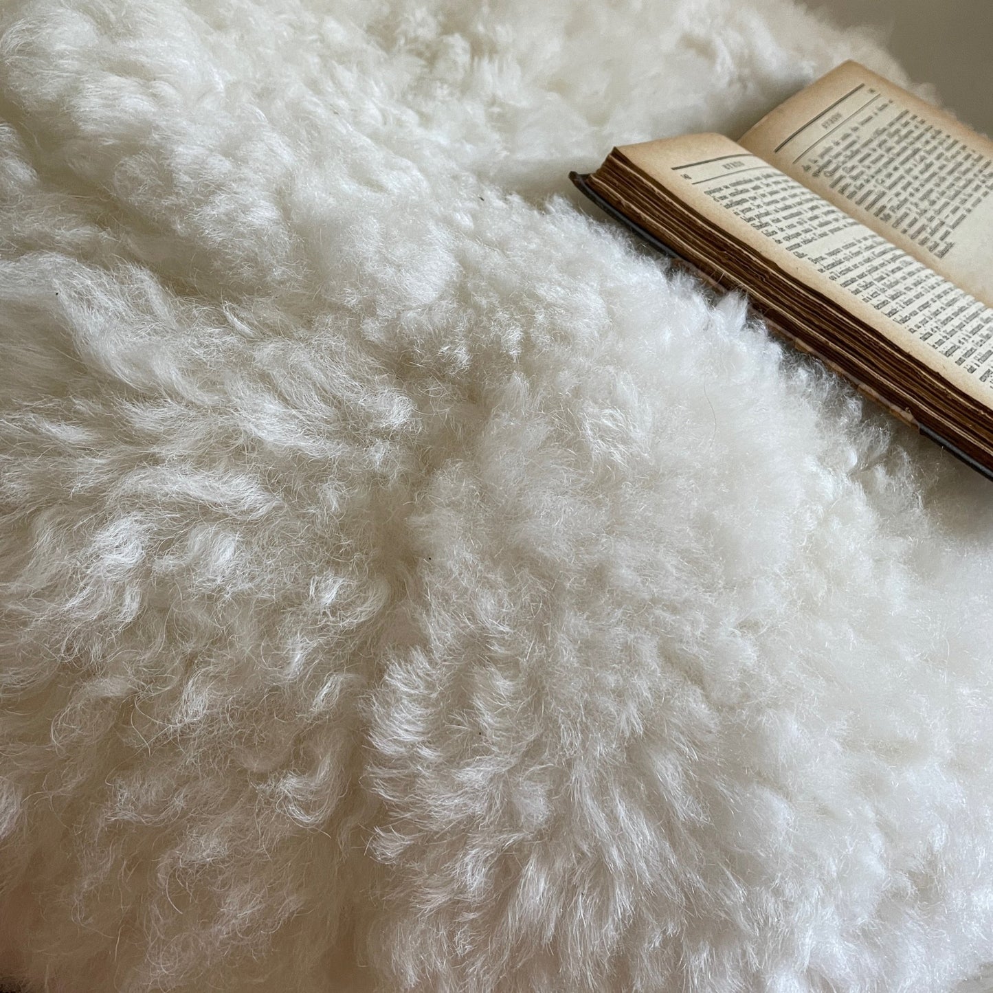 Hot Buns Sheepskin Pouffe - Icelandic Shorn Fur Natural White IN STOCK - Wildash London