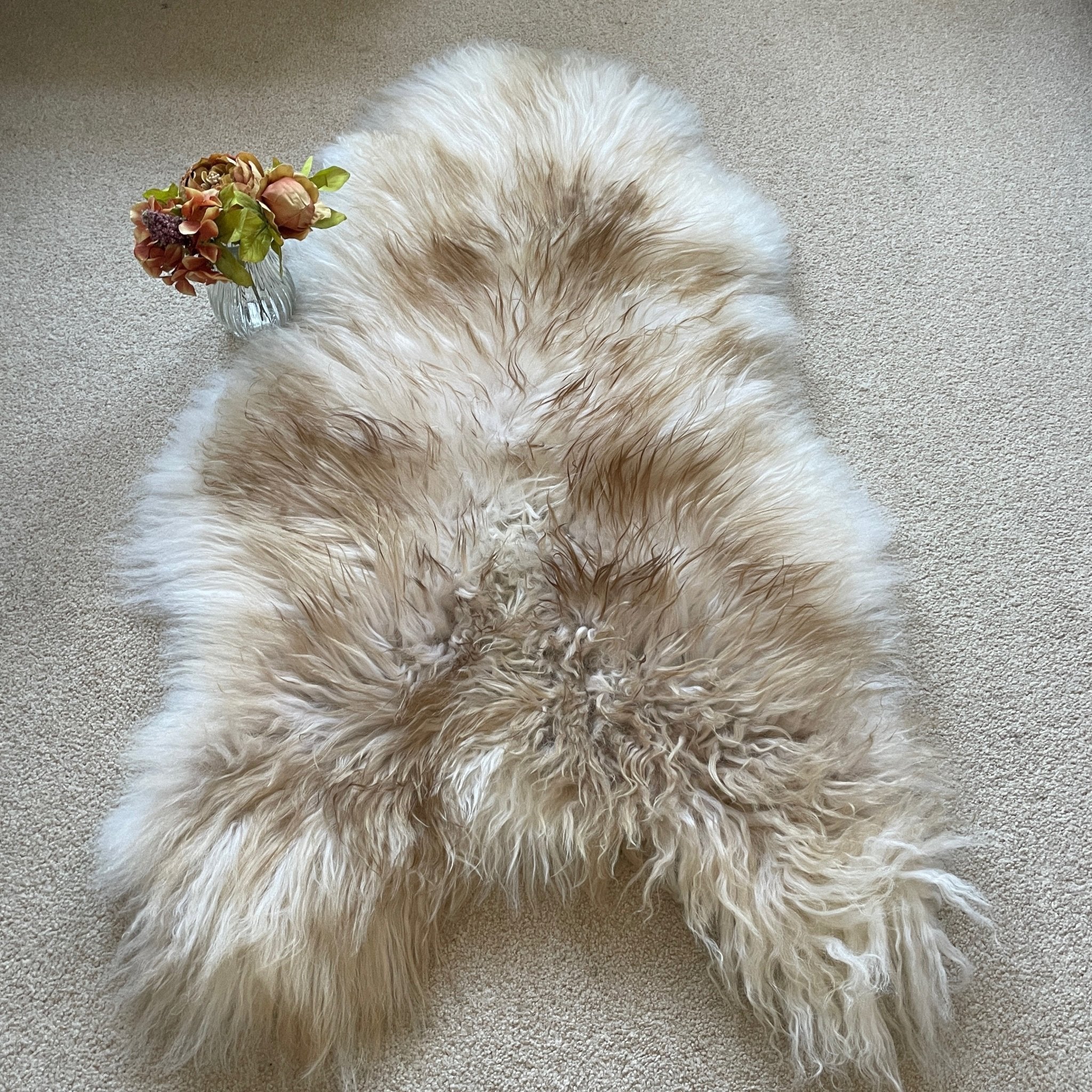 Icelandic Latté Sheepskin Rug 100% Natural Brown Tipped White - Wildash London