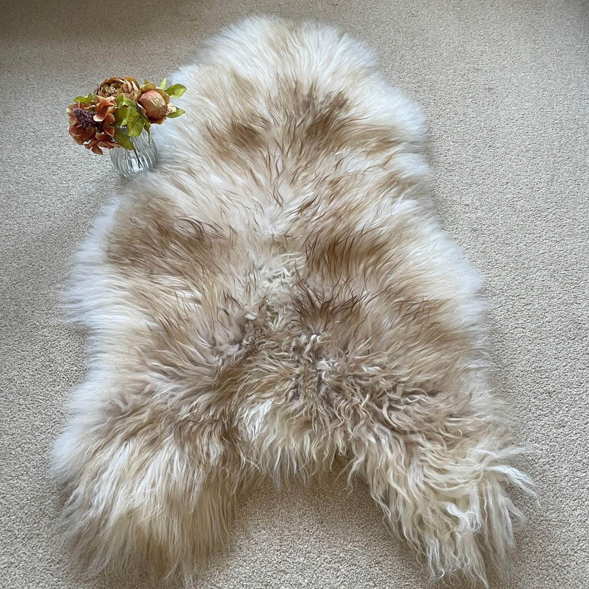 Icelandic Latté Sheepskin Rug 100% Natural Brown Tipped White - Wildash London