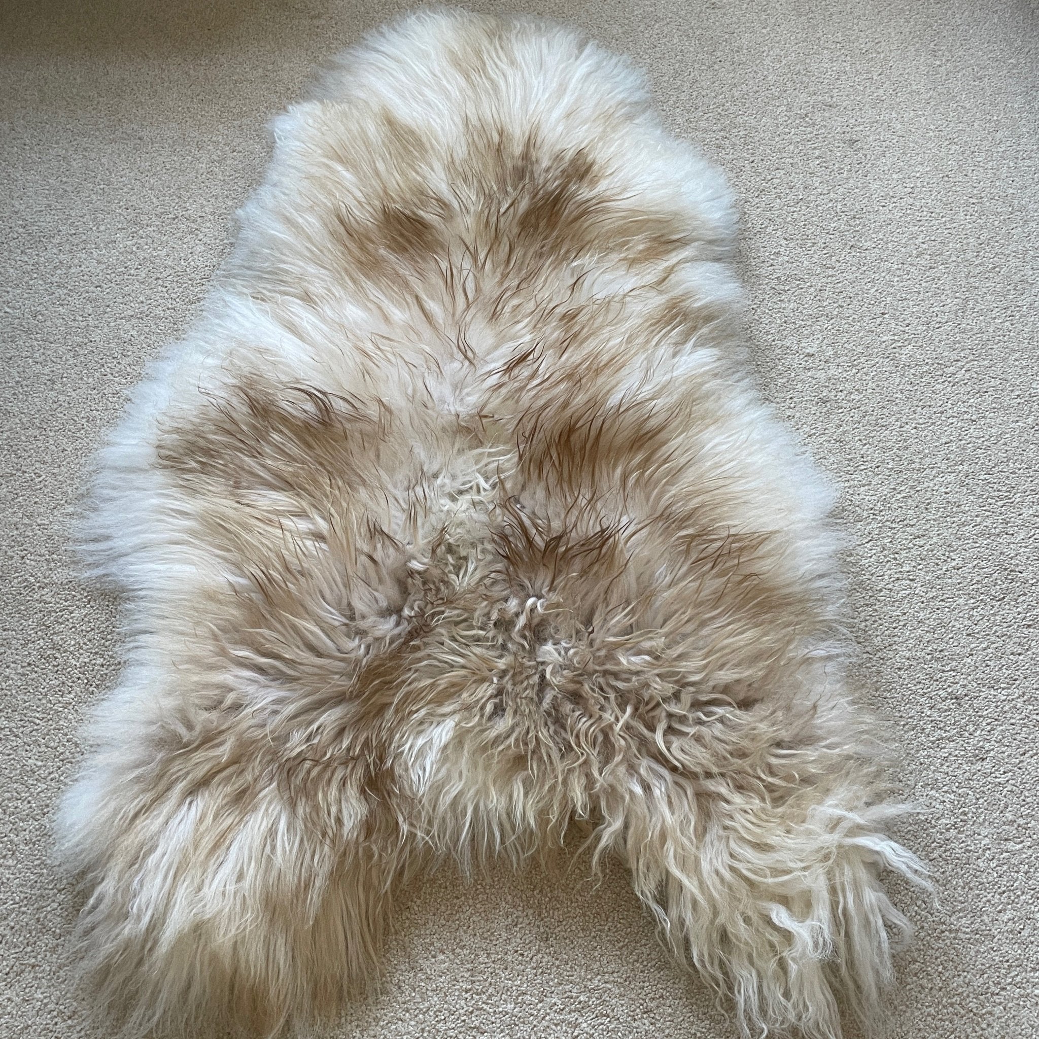 Icelandic Latté Sheepskin Rug 100% Natural Brown Tipped White - Wildash London