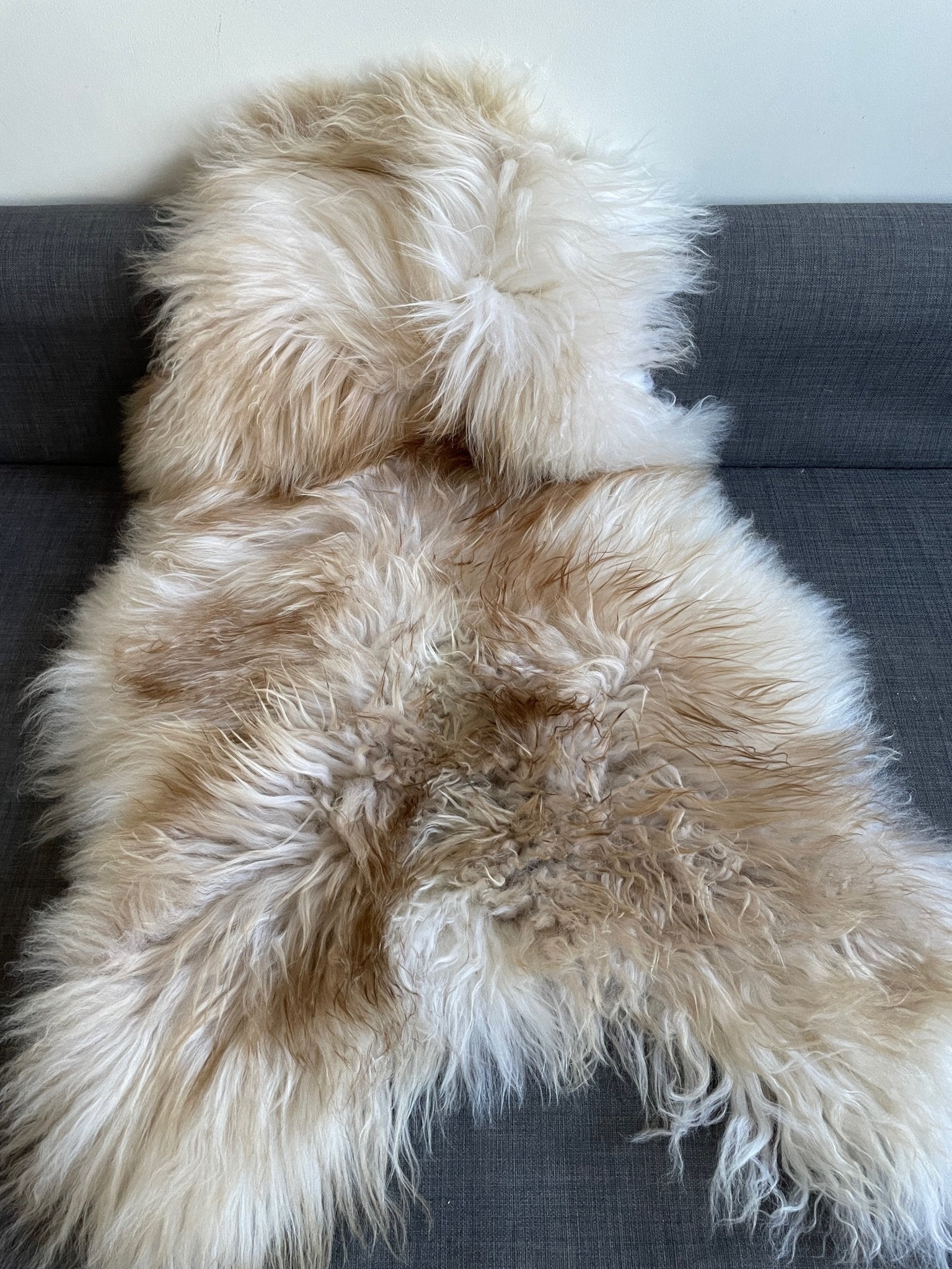 Icelandic Latté Sheepskin Rug 100% Natural Brown Tipped White - Wildash London