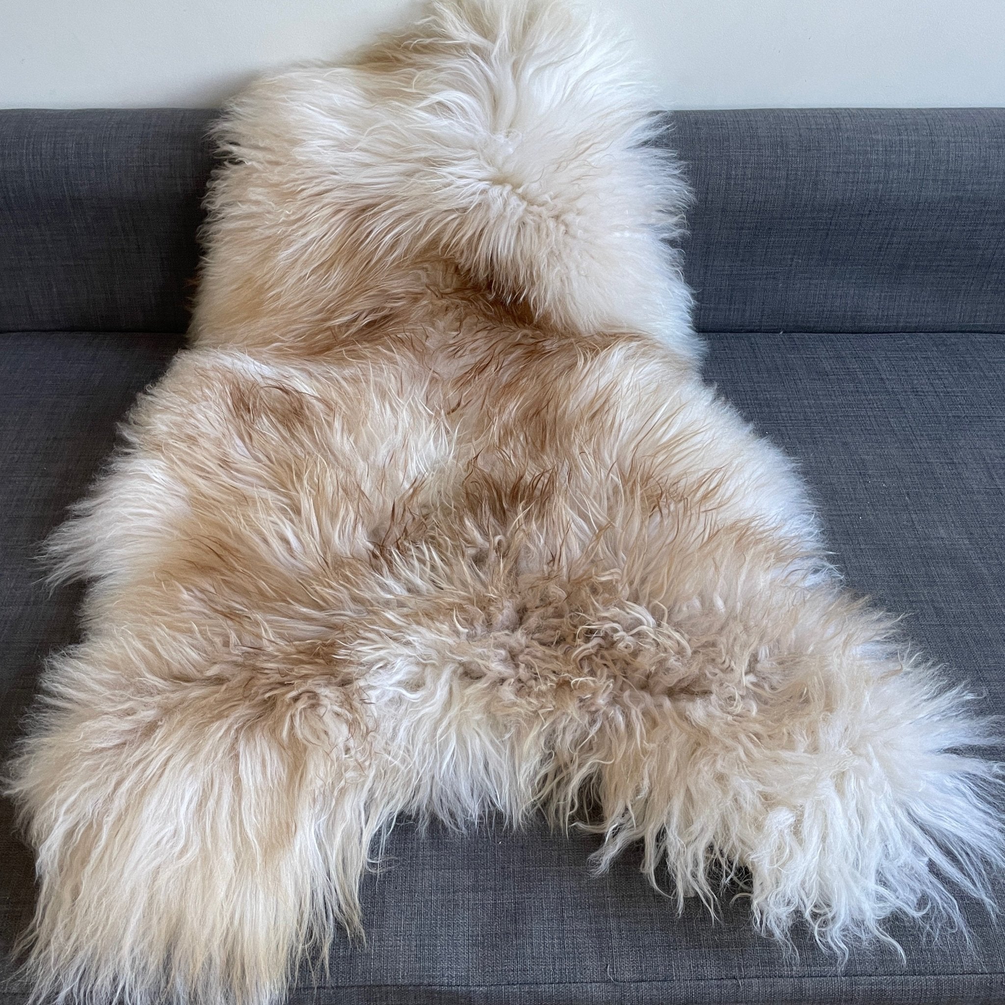 Icelandic Latté Sheepskin Rug 100% Natural Brown Tipped White - Wildash London