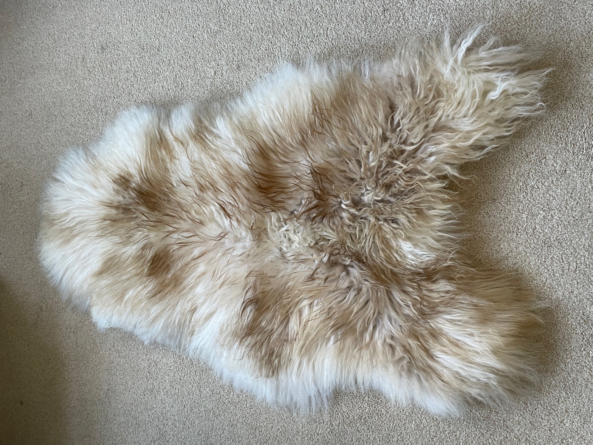 Icelandic Latté Sheepskin Rug 100% Natural Brown Tipped White - Wildash London