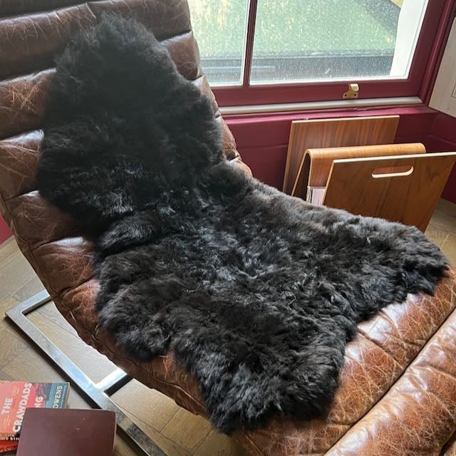 Icelandic Sheepskin Hide Dark Graphic Grey Shorn 50mm Fleece - Wildash London