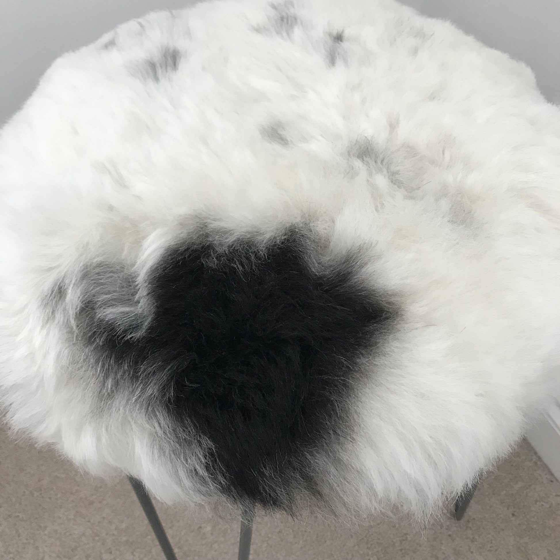 Icelandic Sheepskin Roundie Seat Cover White with Black Shorn 50mm - Wildash London