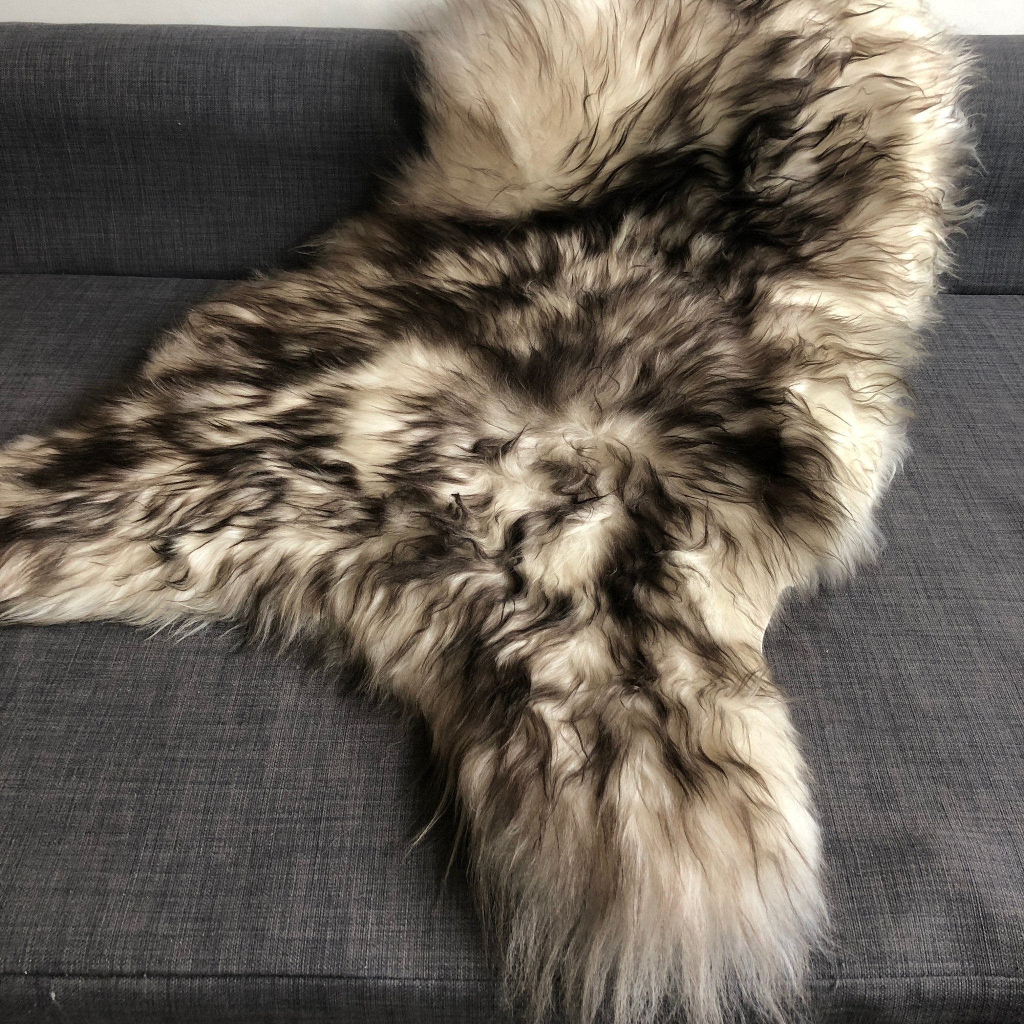 Icelandic Sheepskin Rug 100% Natural Sheep Skin Dark Tipped White | Timberwolf - Wildash London