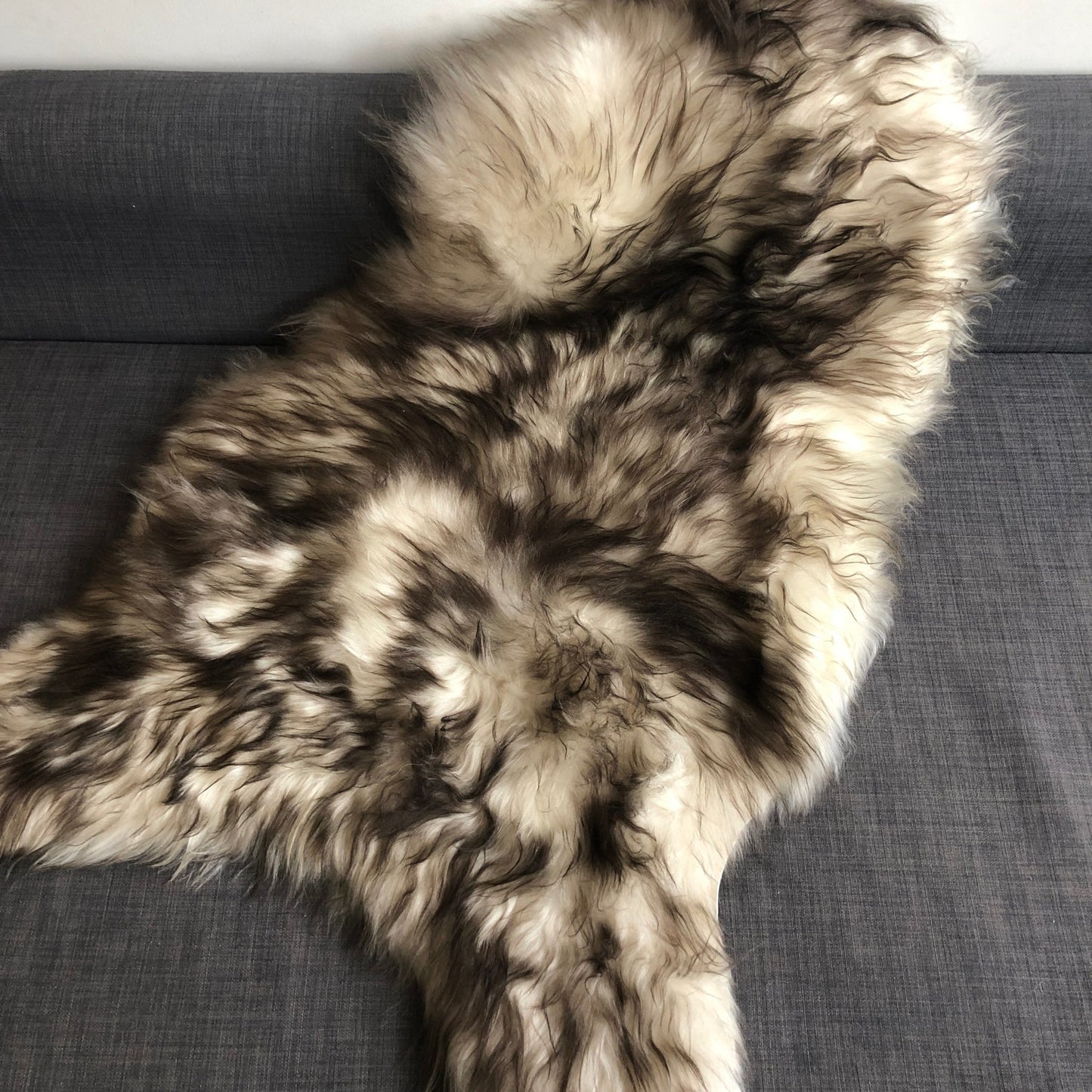 Icelandic Sheepskin Rug 100% Natural Sheep Skin Dark Tipped White | Timberwolf - Wildash London
