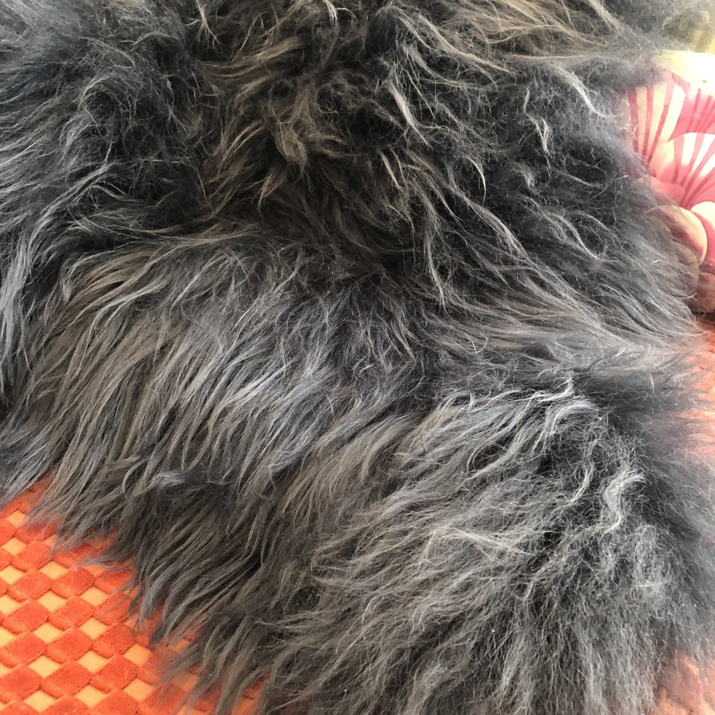 Icelandic Sheepskin Rug Long Fur Dark Graphite Grey - Wildash London