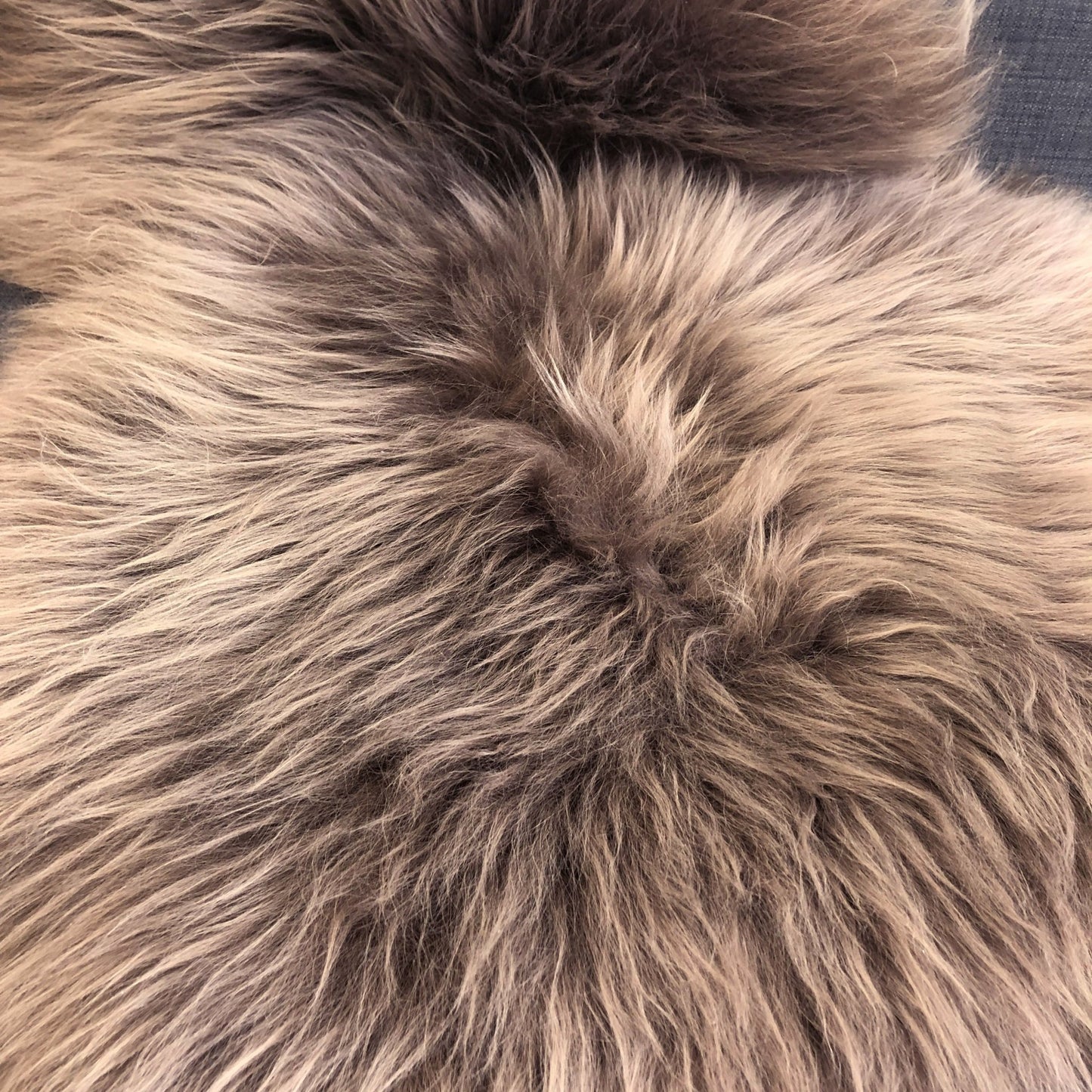 Icelandic Sheepskin Rug Taupe Long Fur | Fleece | Medium - Wildash London